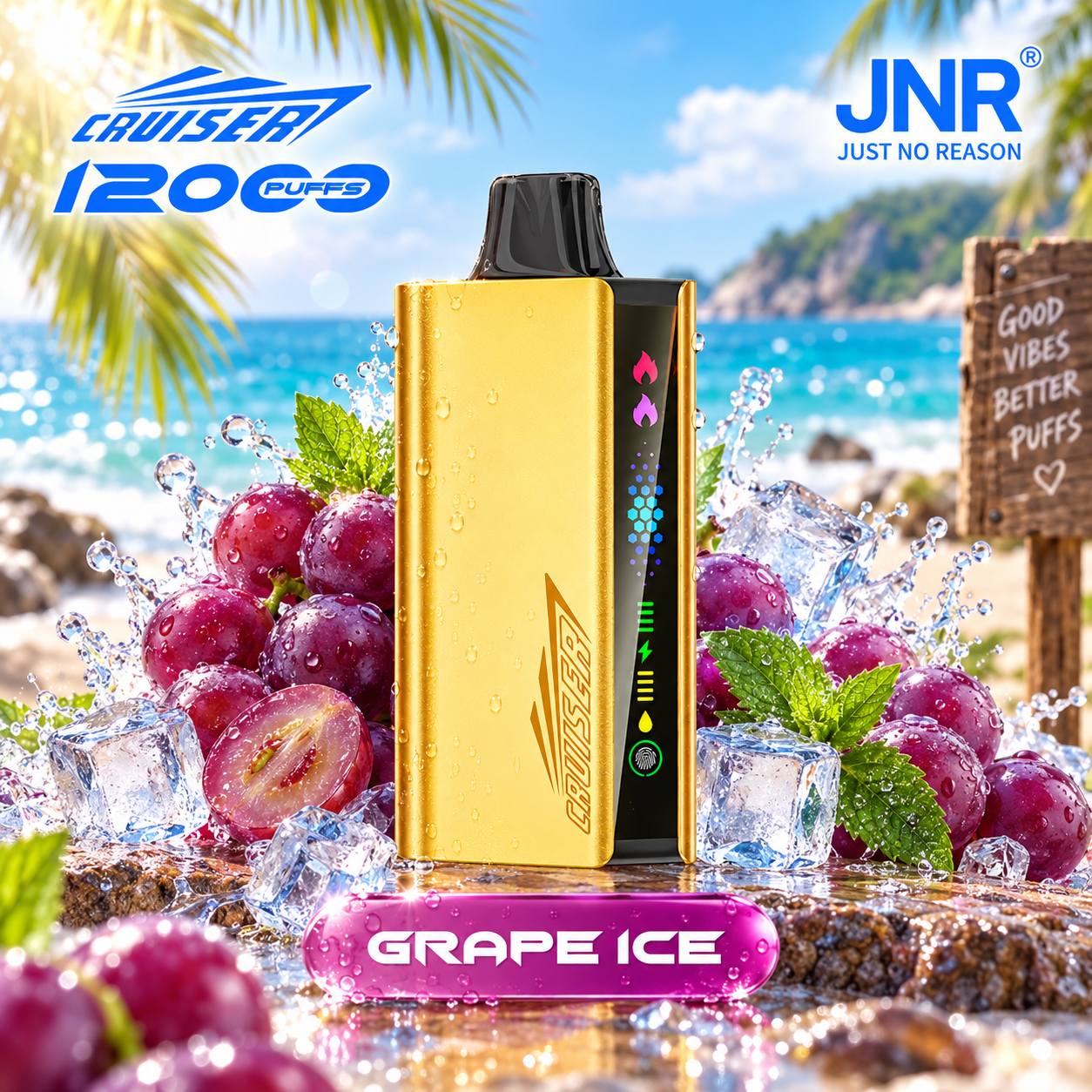 JNR CRUISER 12000Puffs