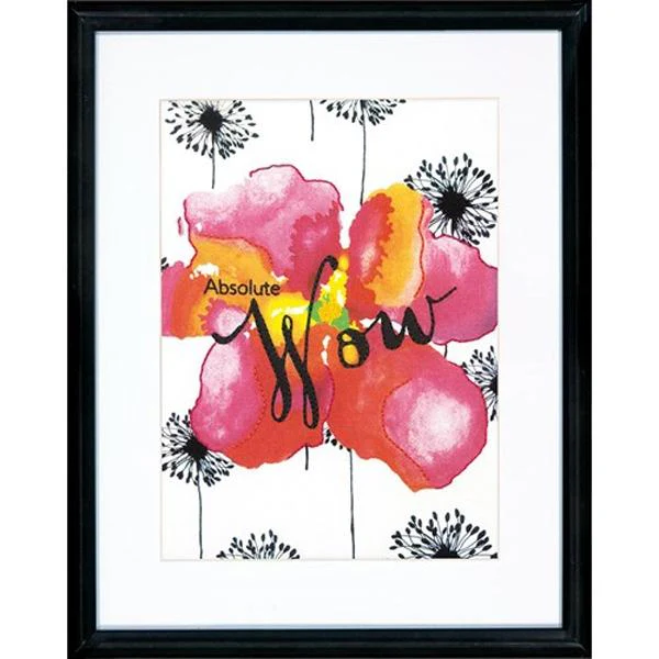 Dimensions Stitch Kit, Wow- 9x12in