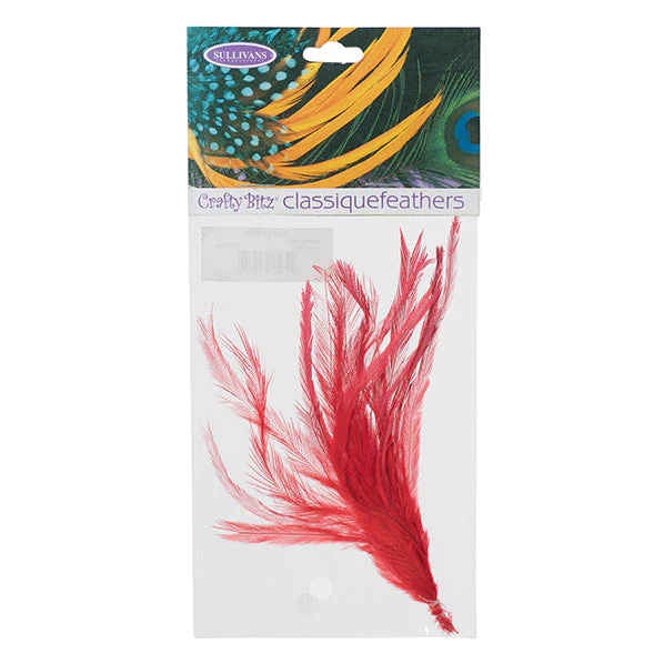 Emu Feathers, 25pc