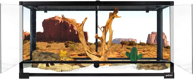 Szklane terrarium dla gadów o wymiarach 36