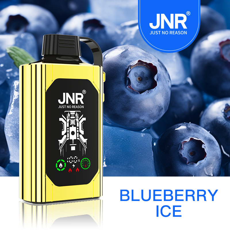 (5+boxes)JNR Shisha Hookah Box 30K Disposable Vape - JNR VAPES OFFICIAL