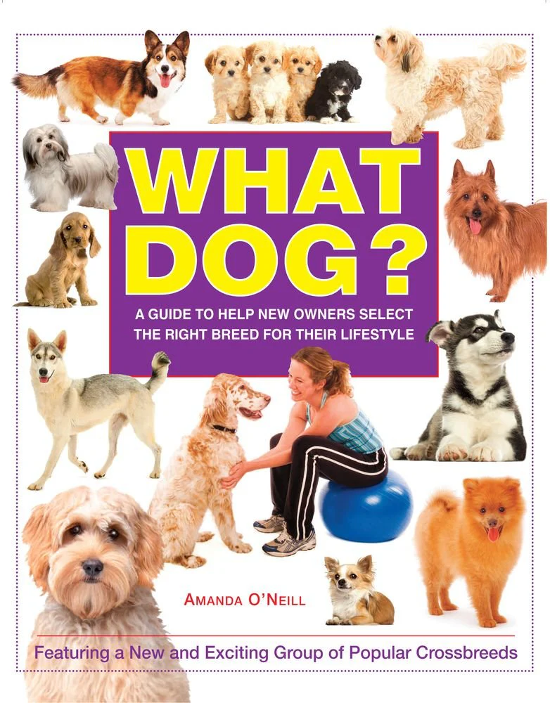 What Dog? A Guide To Help New Owners Select The Right Breed For Their Lifestyle By Amanda O