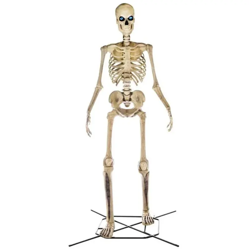 Gigantyczny szkielet o długości 3,6 metra z LifeEyes, 43 kg – dekoracja na Halloween