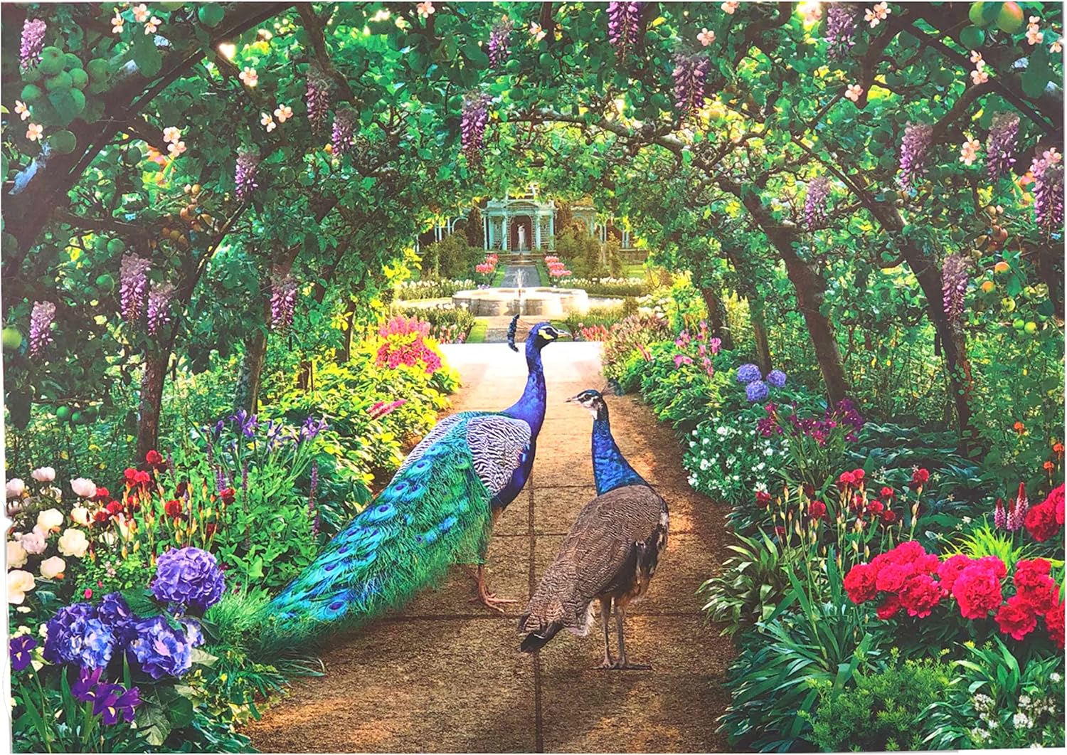 1000-Piece Jigsaw Puzzle, Peacock Pathway