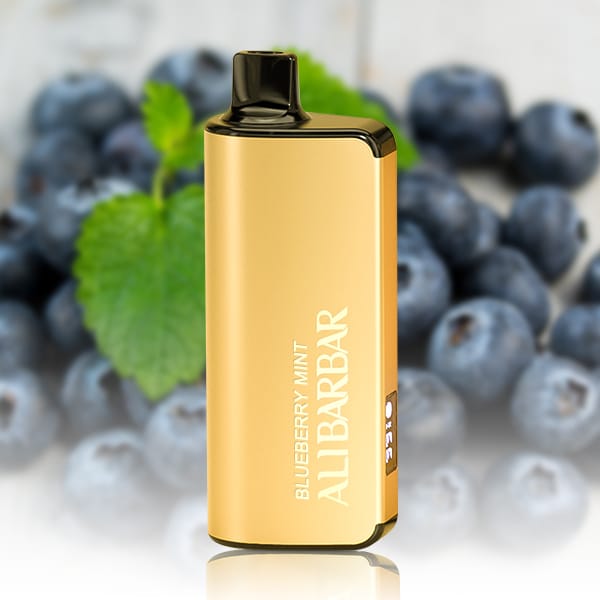 ALIBARBAR INGOT 9000 Puffs Blueberry Mint - VAPE WAREHOUSE -