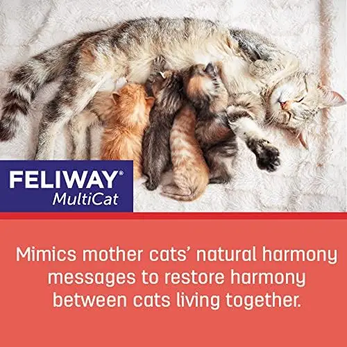 Felivay MultiCat 30-dniowy wkład uzupełniający z uspokajającymi feromonami – opakowanie 3 szt.