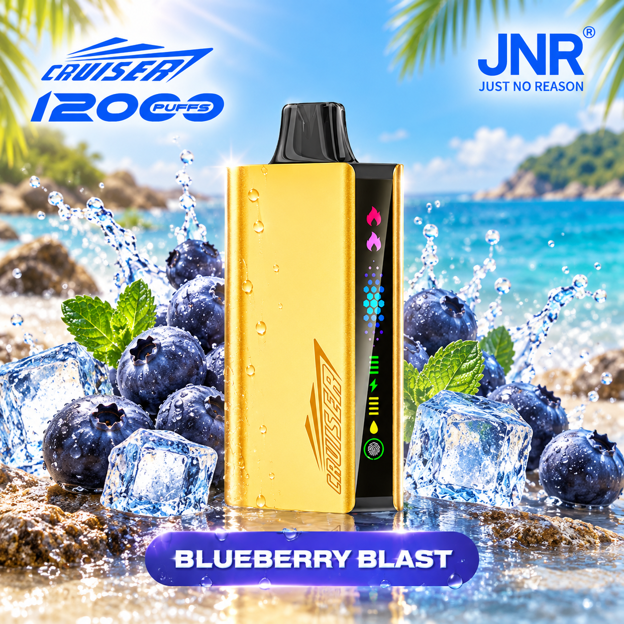 JNR CRUISER 12000Puffs