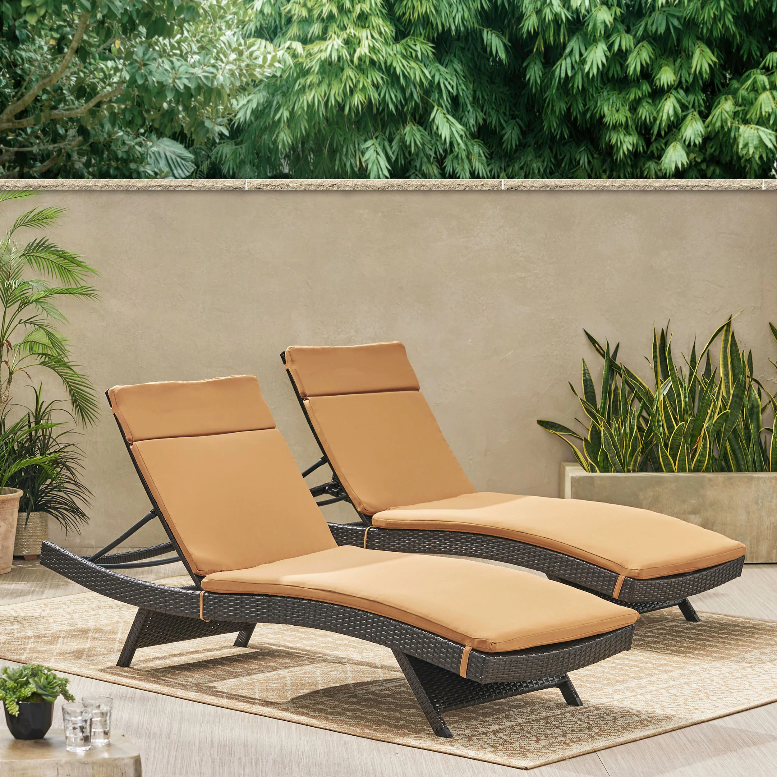 Lakeport Outdoor Adjustable Chaise Lounge Chairs w/ Cushions (set of 2) - furnishings