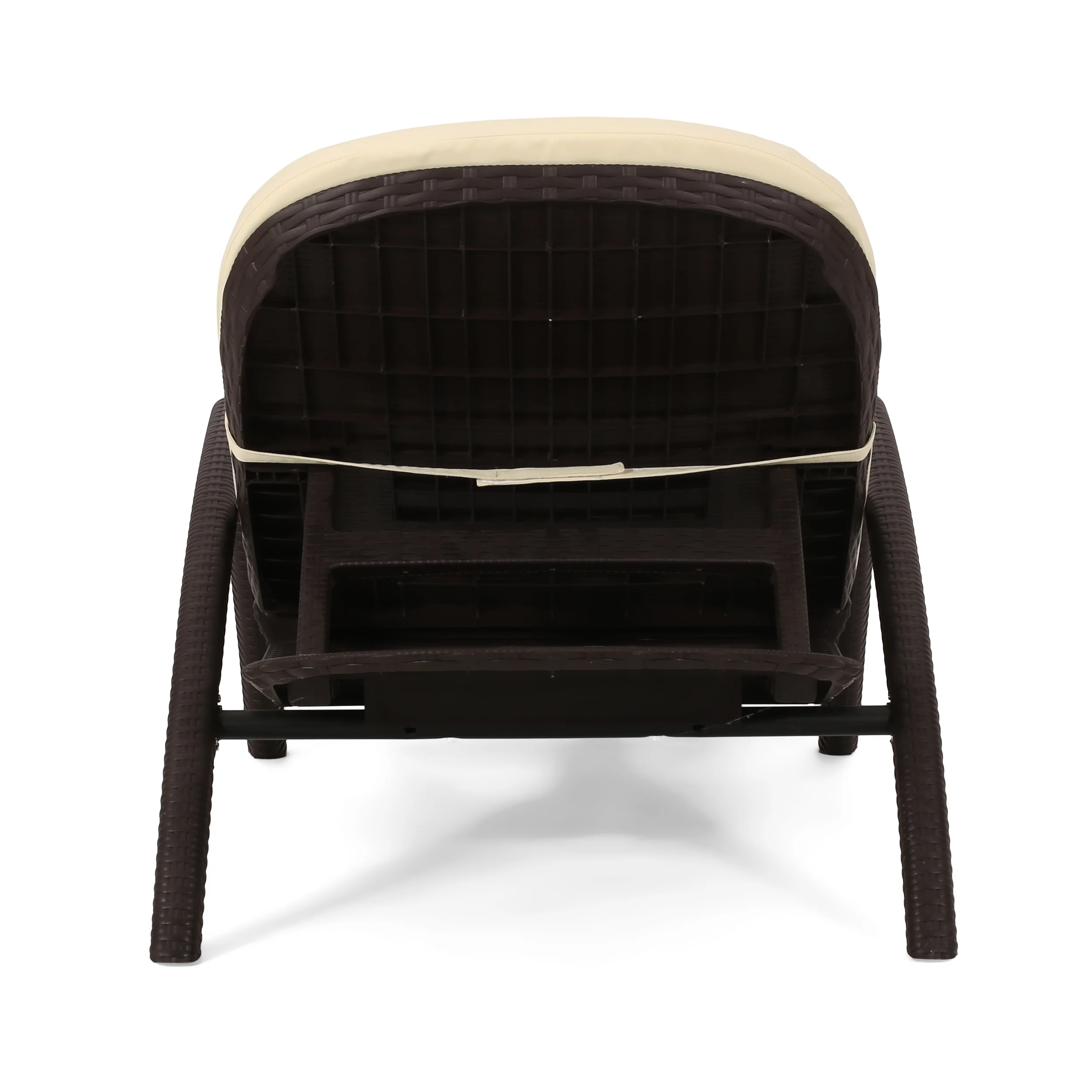 Riley Outdoor Faux Wicker Chaise Lounge with Cushion - furnishings