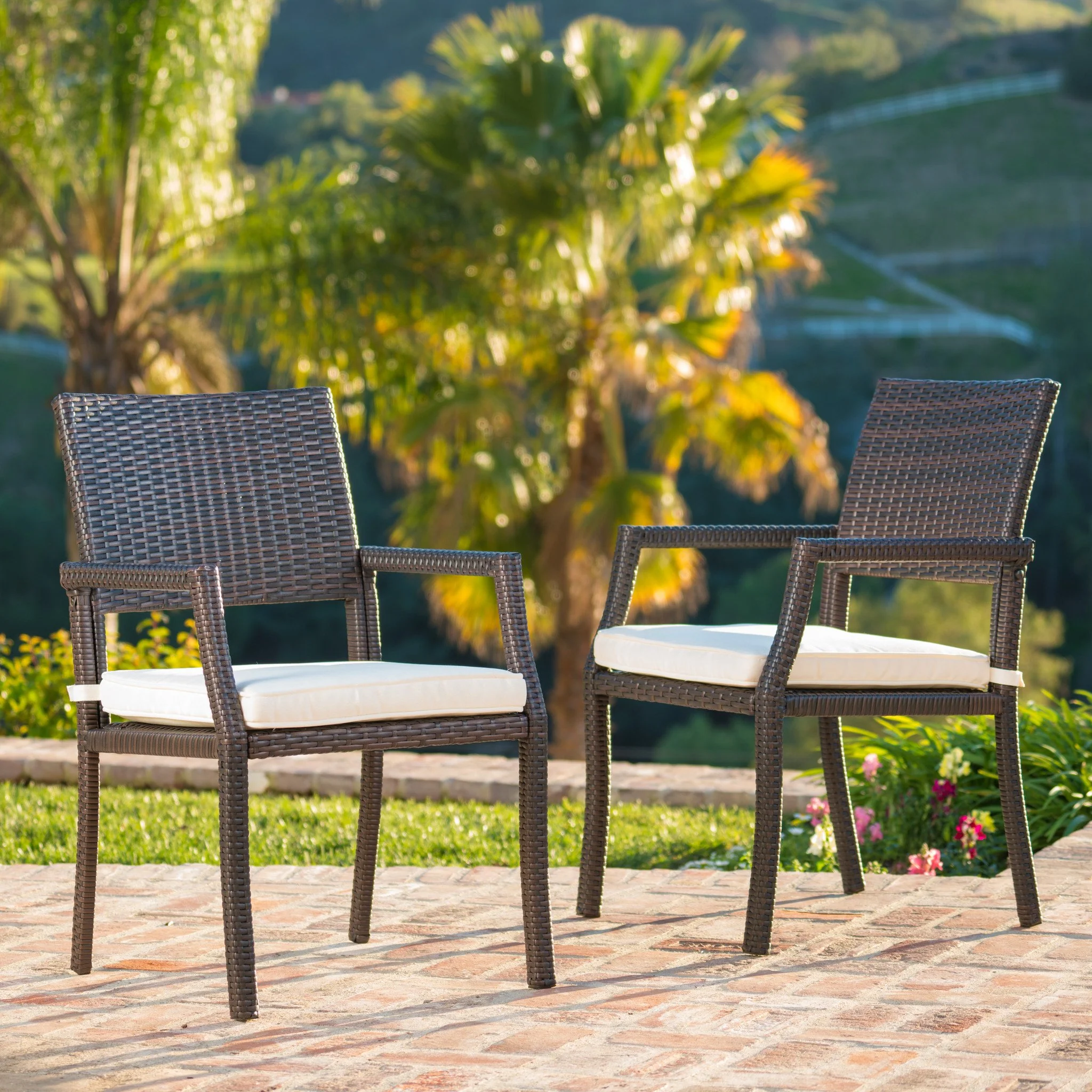 Edene Outdoor Wicker Dining Chairs Water Resistant Cushions (Set of 2) - furnishings