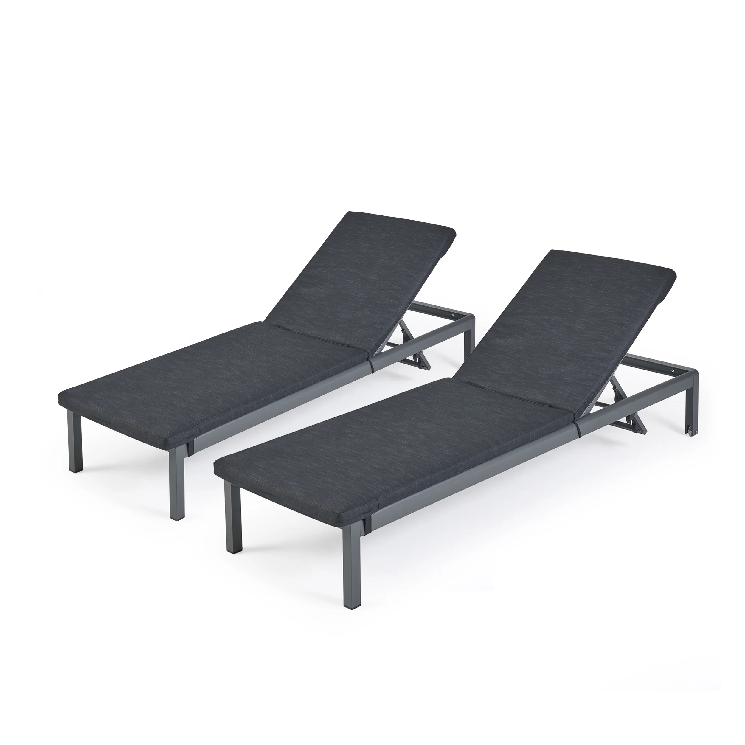 Cherie Modern Outdoor Adjustable Chaise Lounge with Cushion - furnishings