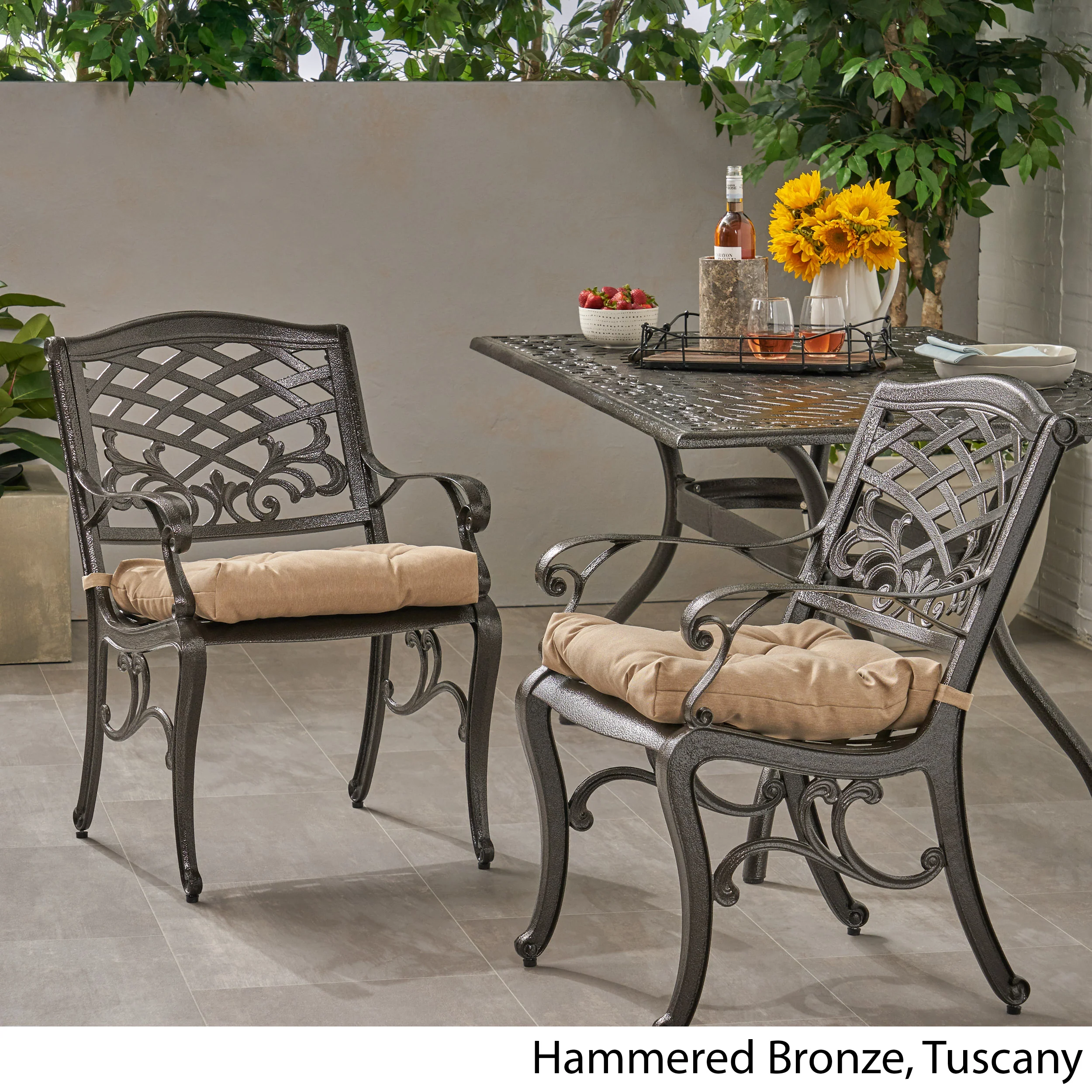 Juel Outdoor Dining Chair with Cushion (Set of 2) - furnishings