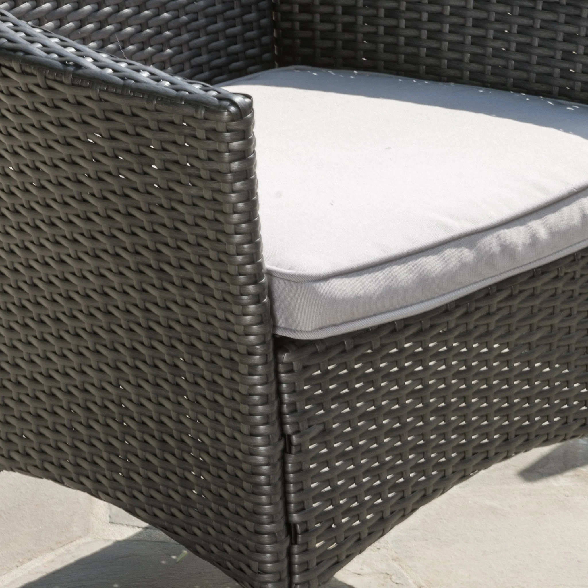 Brascha Contemporary Outdoor PE Wicker Dining Chairs w/ Cushions - furnishings
