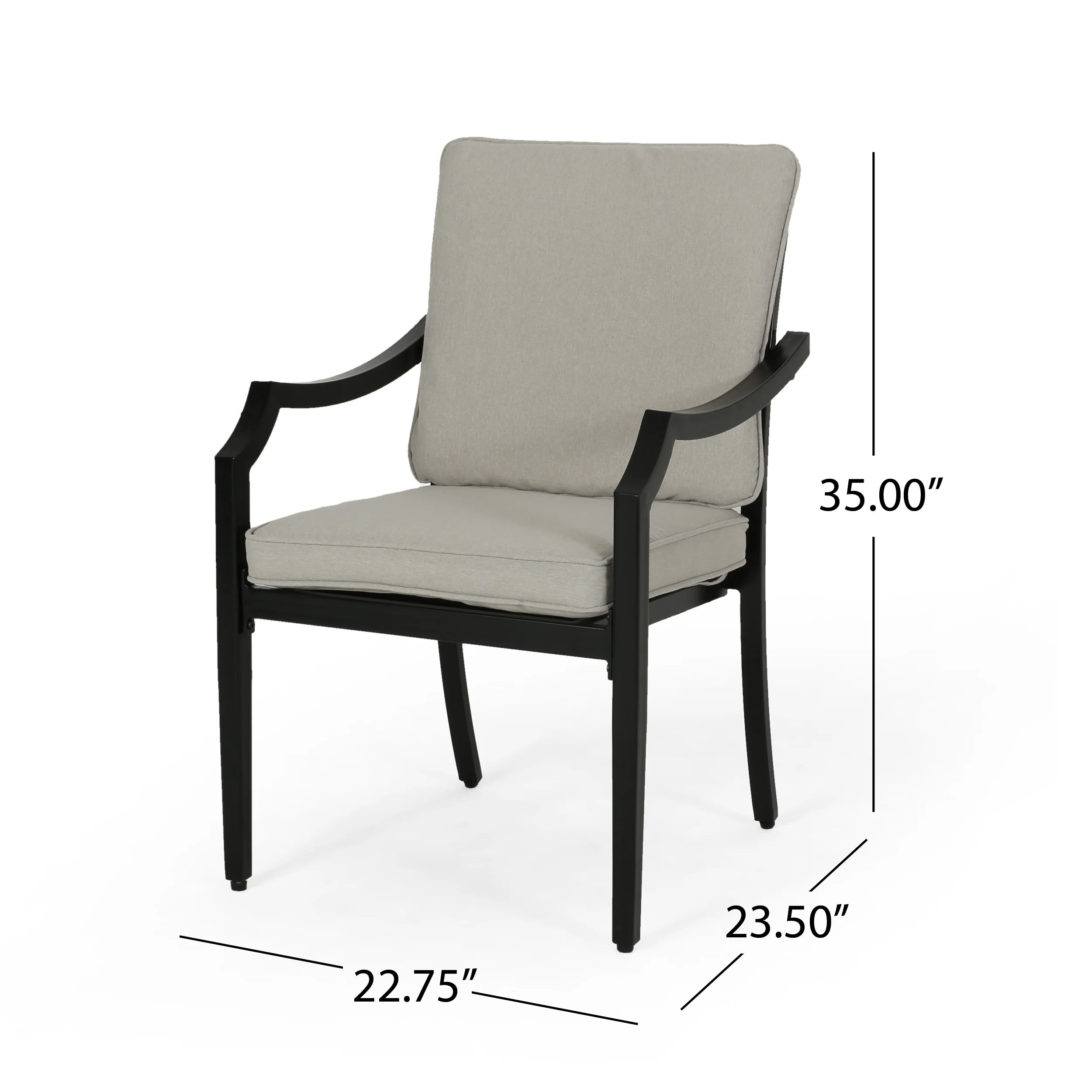 Carlson Diego Outdoor Aluminum Dining Chairs with Cushions (Set of 2) - furnishings