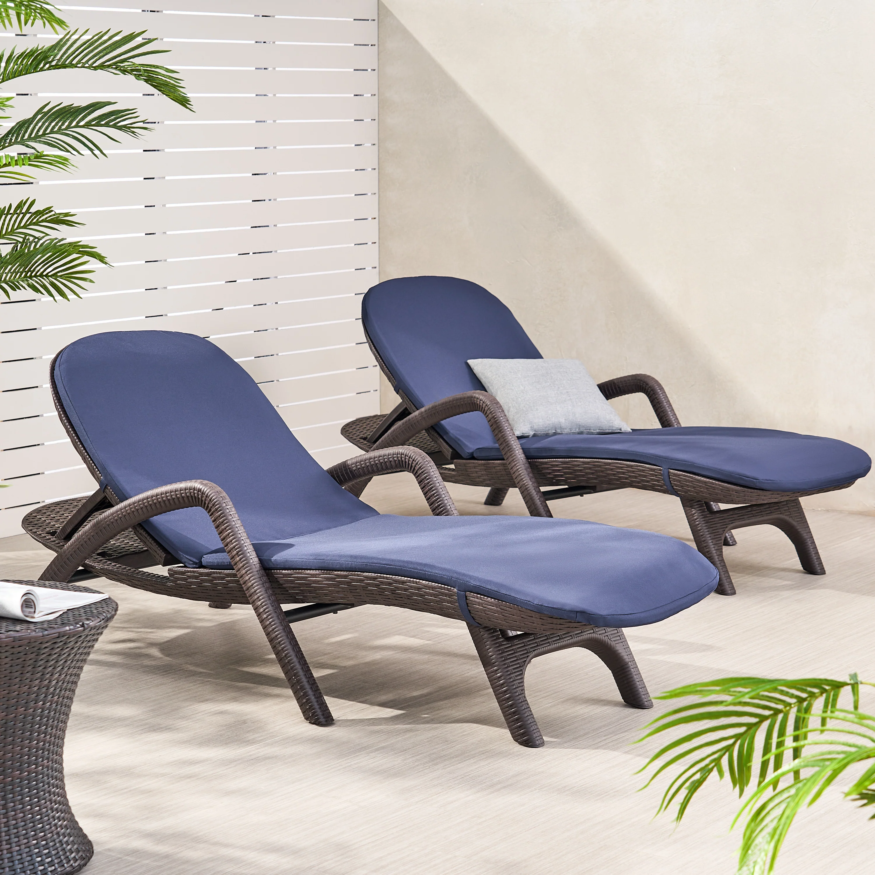 Riley Outdoor Faux Wicker Chaise Lounges with Cushion (Set of 2) - furnishings