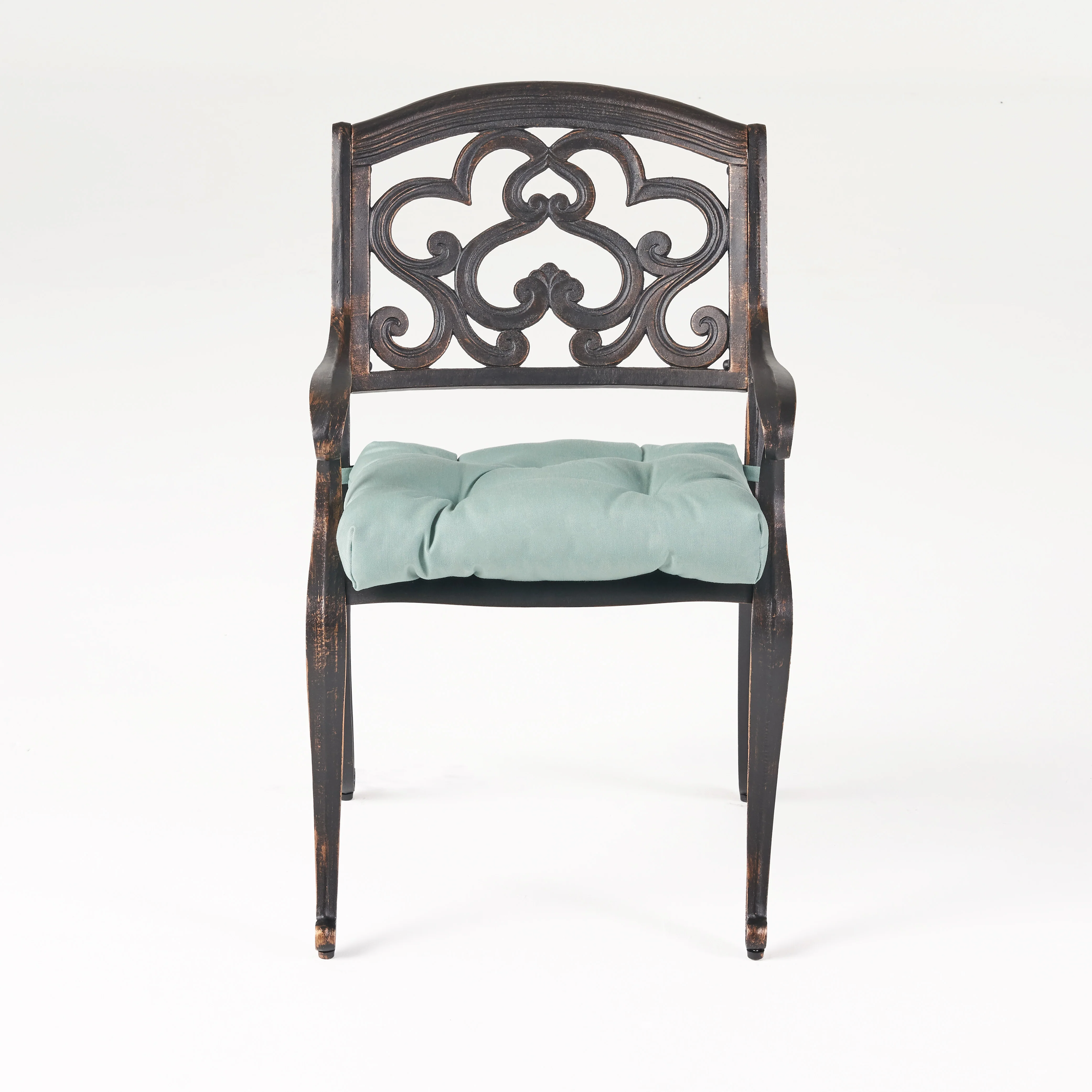 Sher Outdoor Dining Chair with Cushion (Set of 2) - furnishings