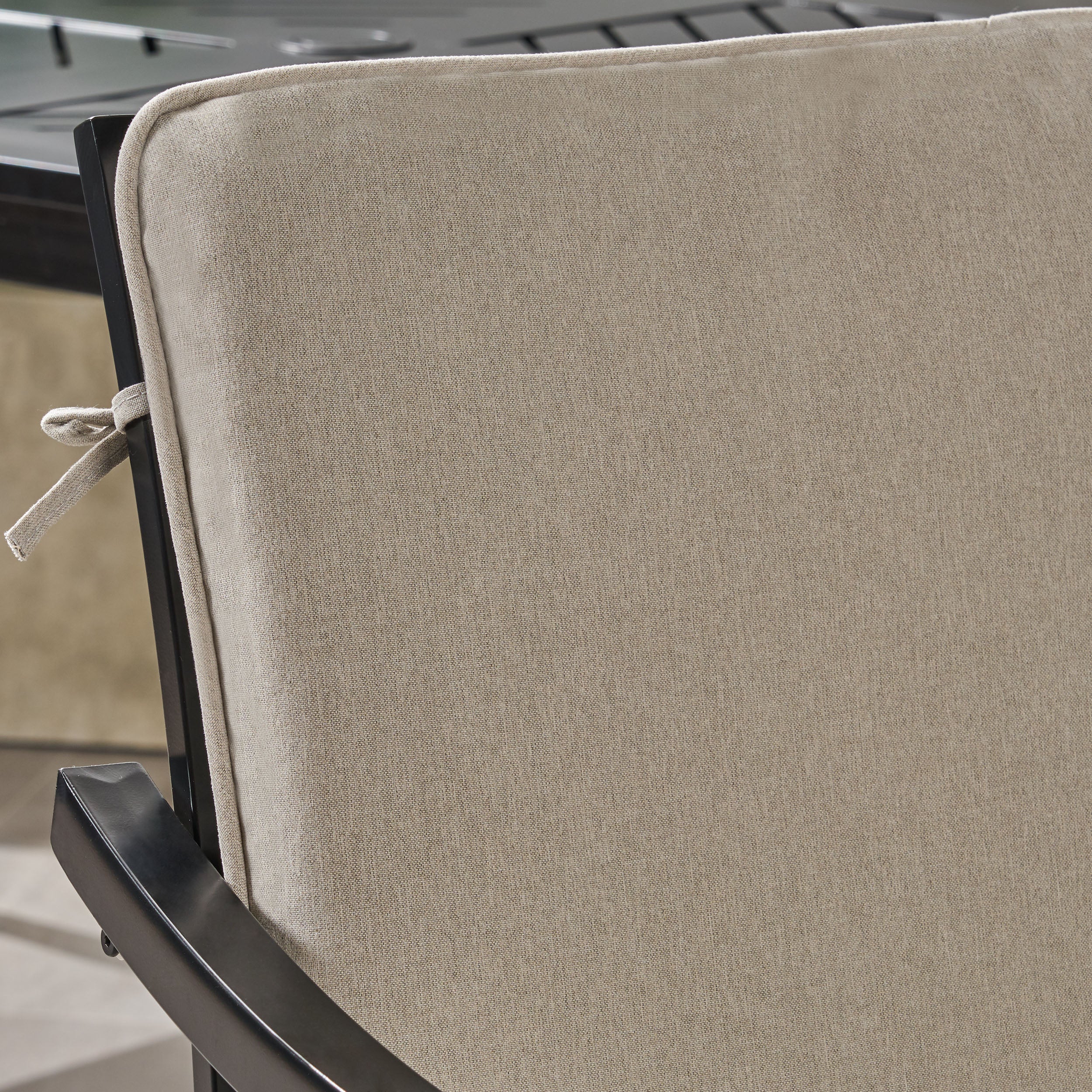 Carlson Diego Outdoor Aluminum Dining Chairs with Cushions (Set of 2) - furnishings