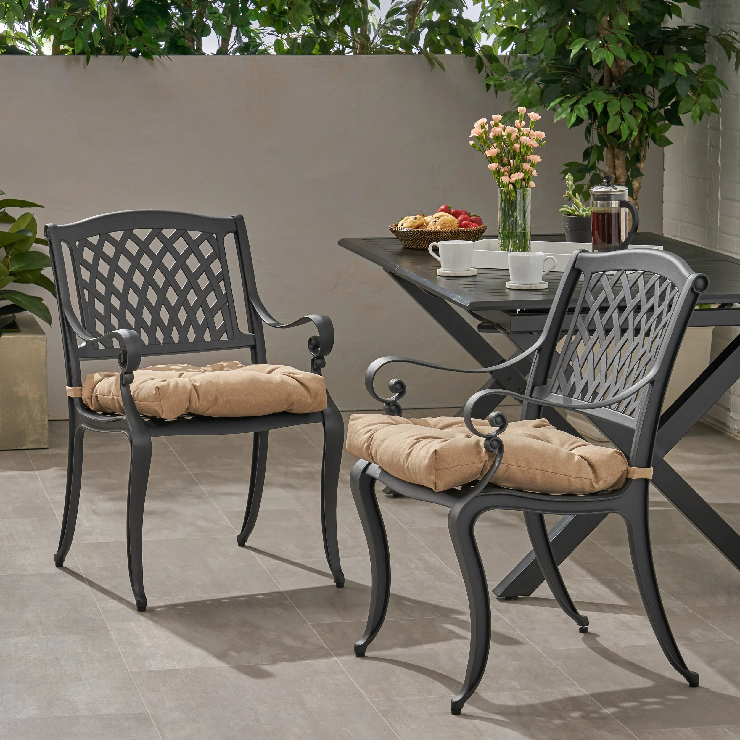 Allee Outdoor Dining Chair with Cushion (Set of 2) - furnishings