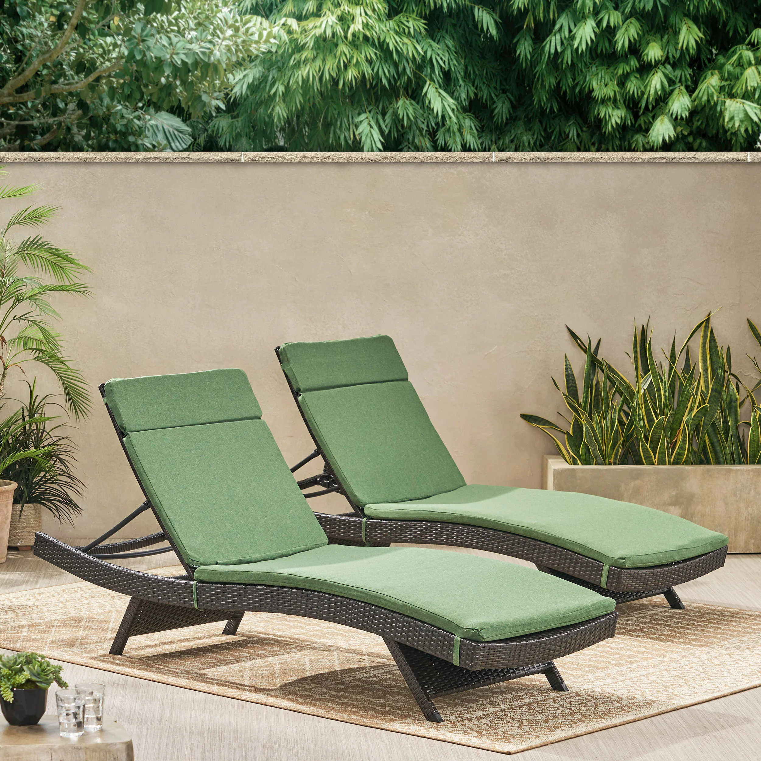 Lakeport Outdoor Adjustable Chaise Lounge Chairs w/ Cushions (set of 2) - furnishings