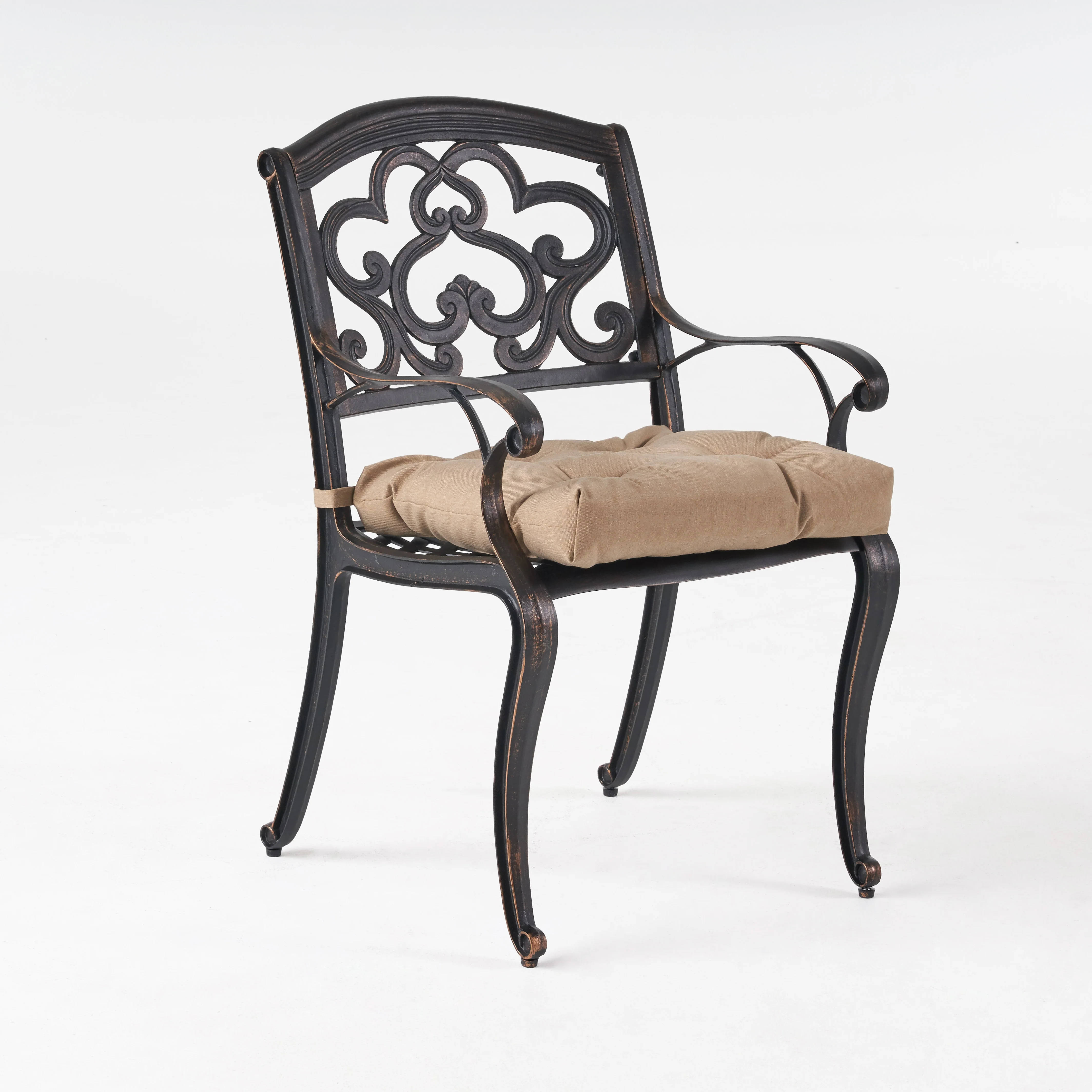 Sher Outdoor Dining Chair with Cushion (Set of 2) - furnishings