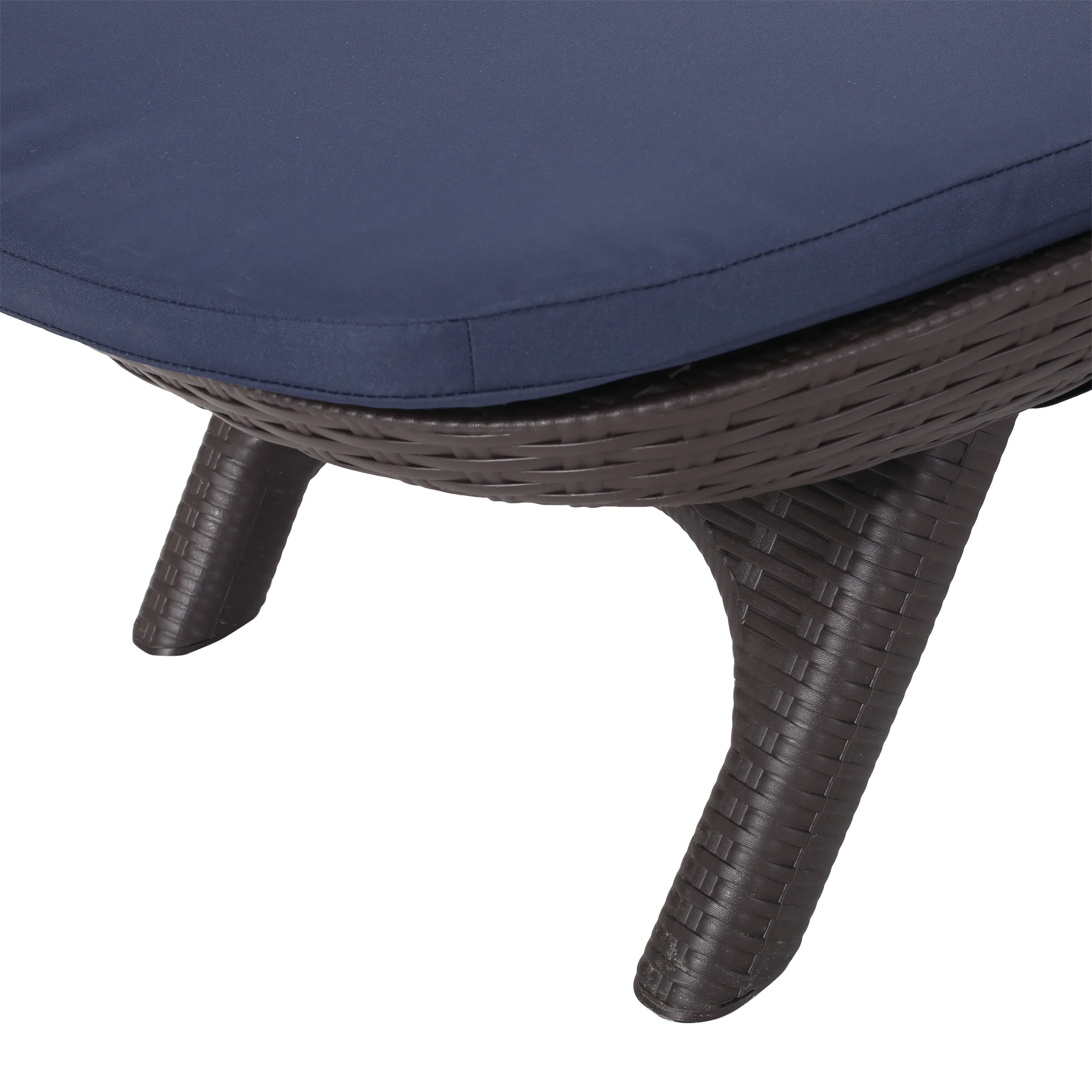 Riley Outdoor Faux Wicker Chaise Lounges with Cushion (Set of 2) - furnishings