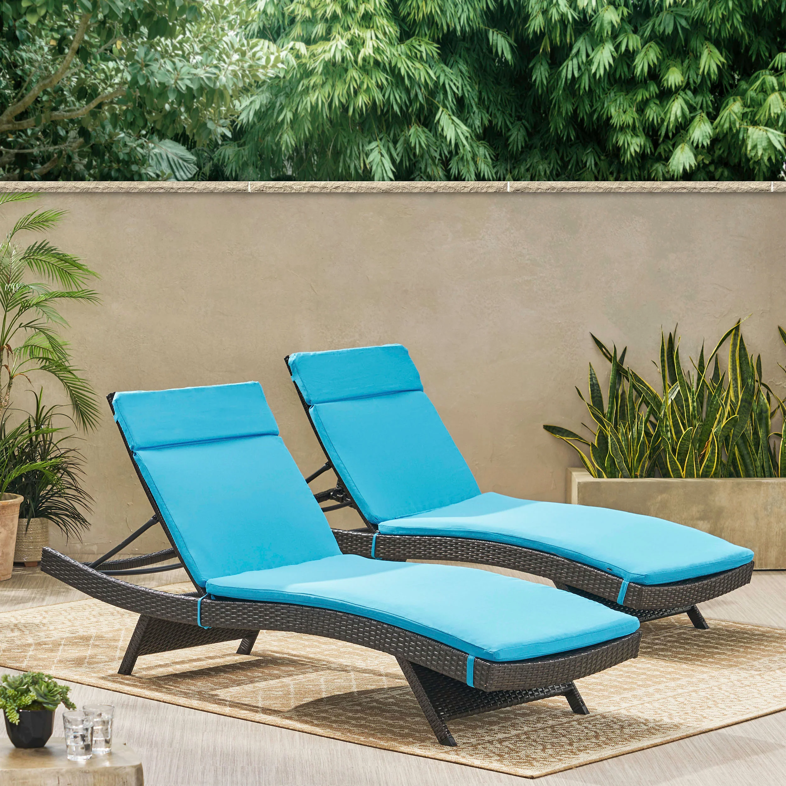 Lakeport Outdoor Adjustable Chaise Lounge Chairs w/ Cushions (set of 2) - furnishings