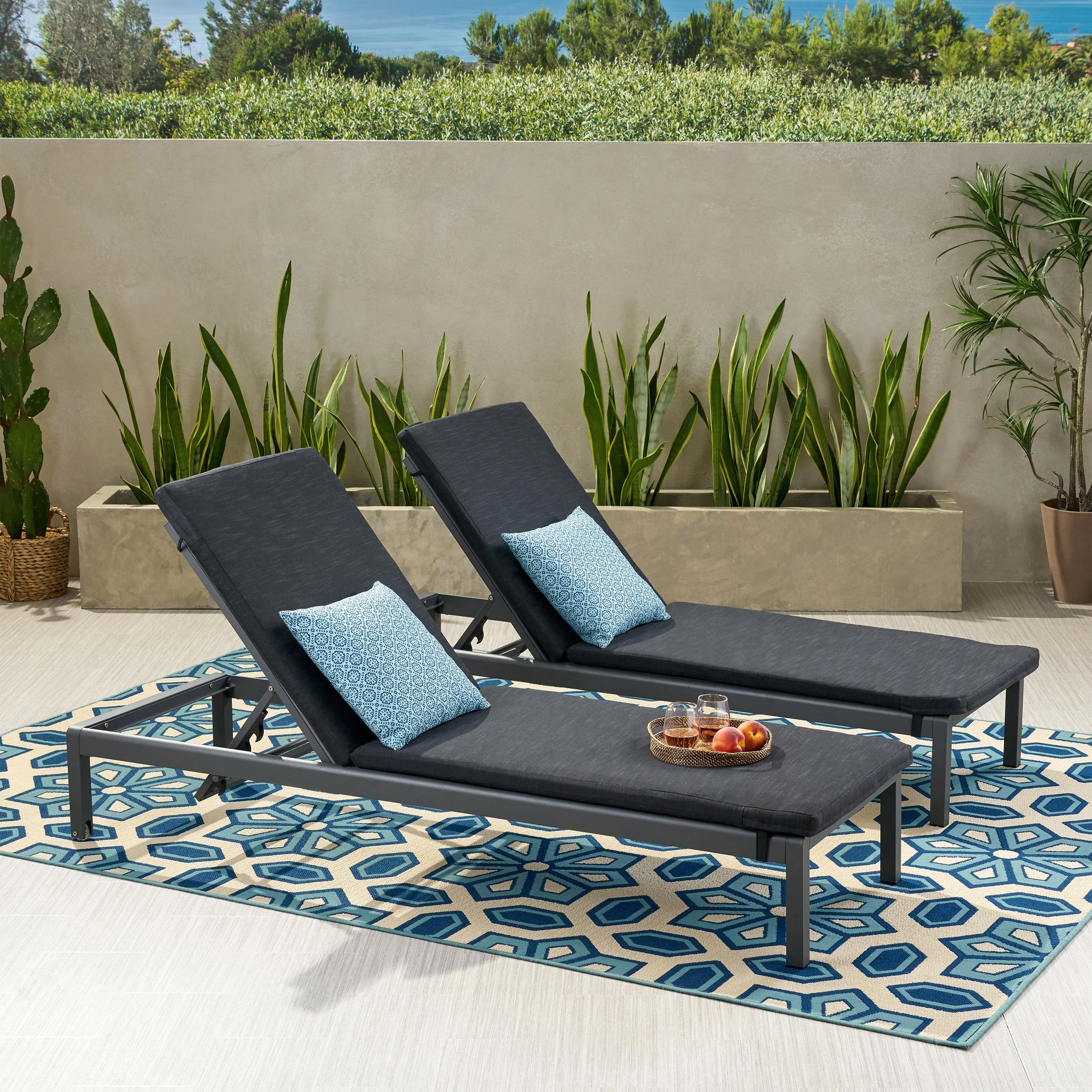 Cherie Modern Outdoor Adjustable Chaise Lounge with Cushion - furnishings