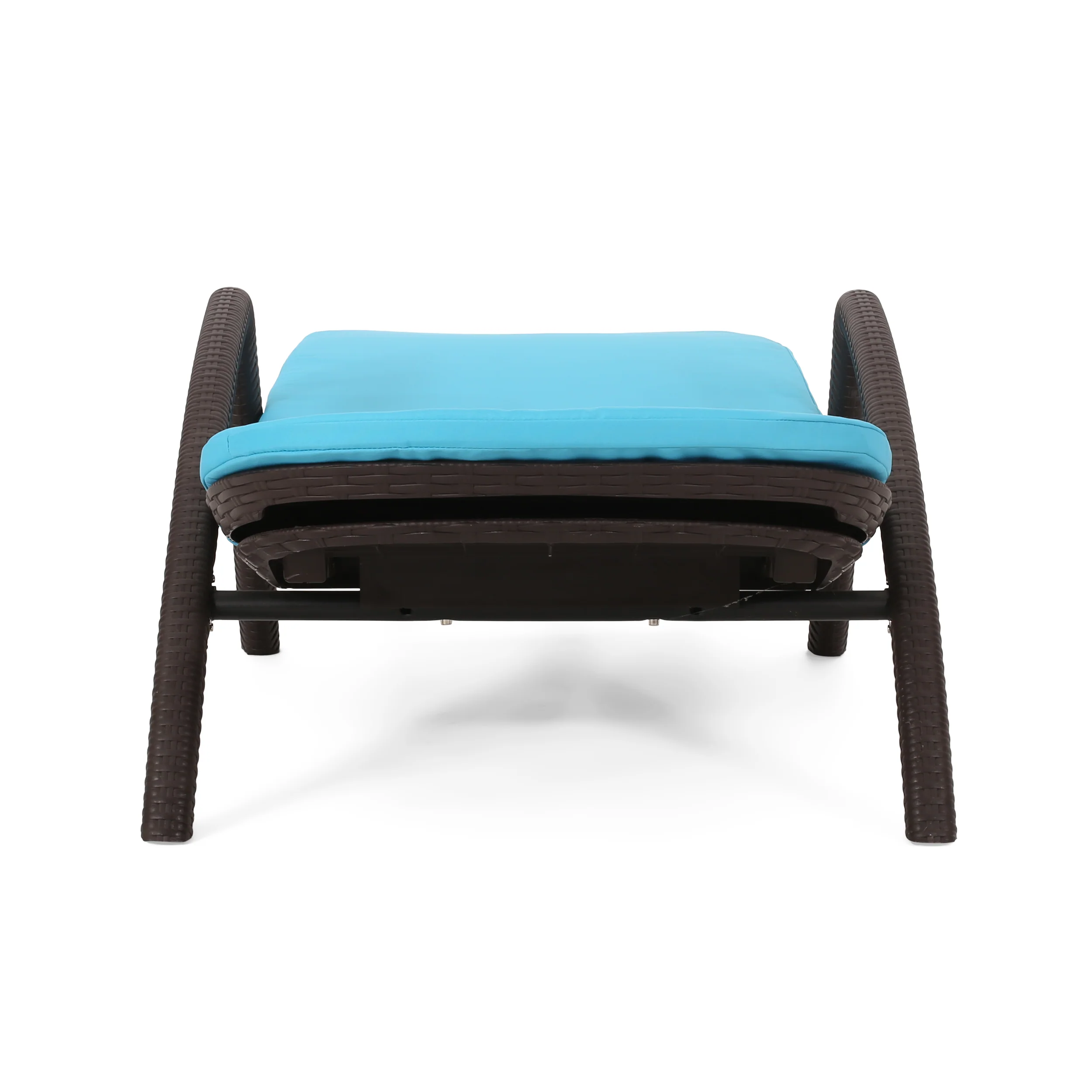 Riley Outdoor Faux Wicker Chaise Lounge with Cushion - furnishings