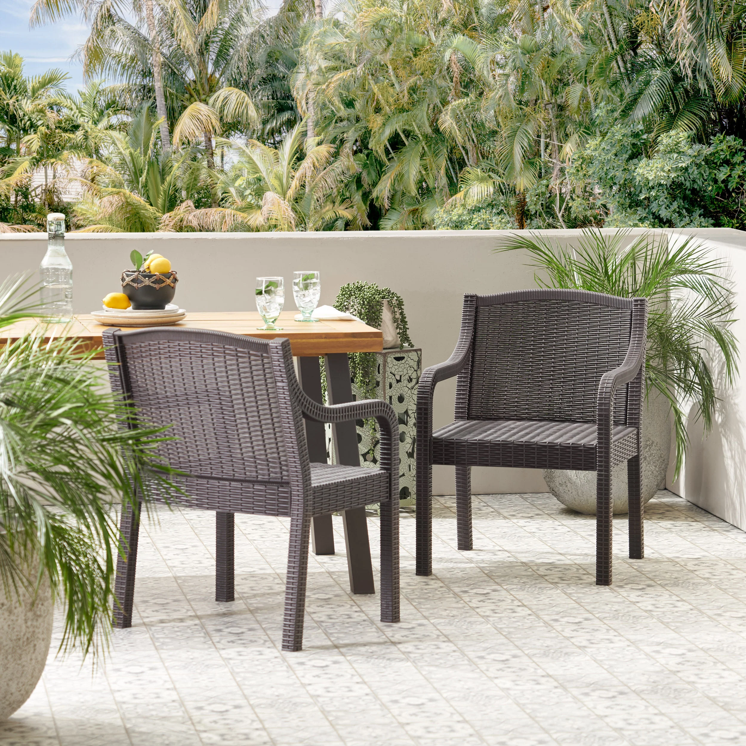 Covecrest Outdoor Faux Wicker Dining Chairs, Set of 2, Dark Brown - furnishings