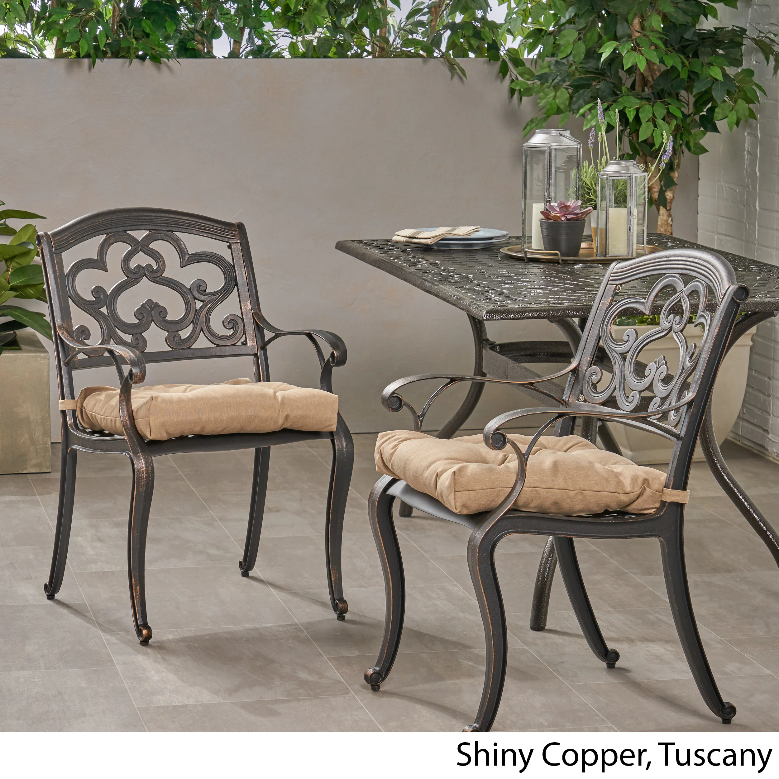 Sher Outdoor Dining Chair with Cushion (Set of 2) - furnishings