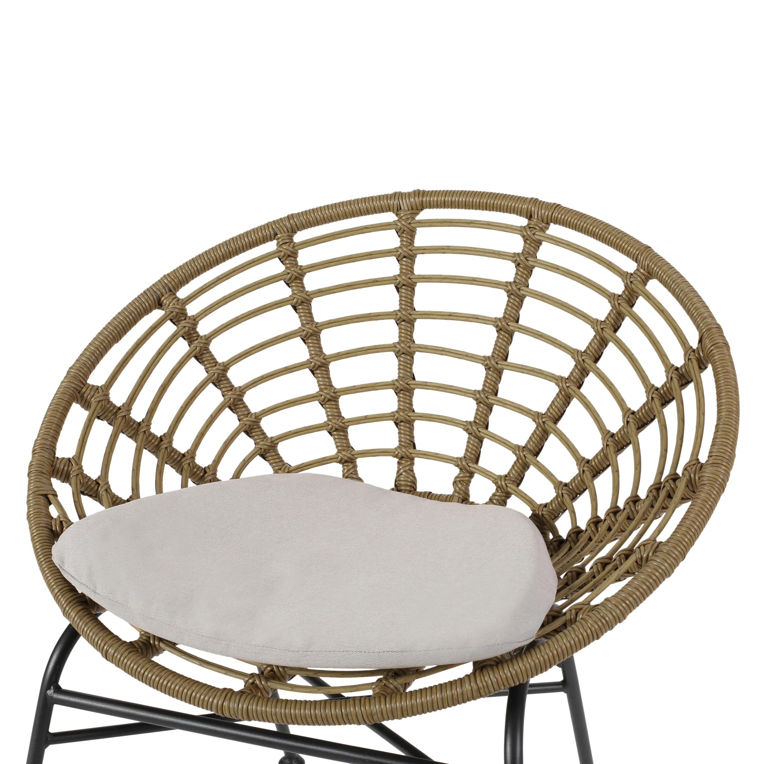 Keegan Outdoor Wicker Dining Chair with Cushion (Set of 2) - furnishings