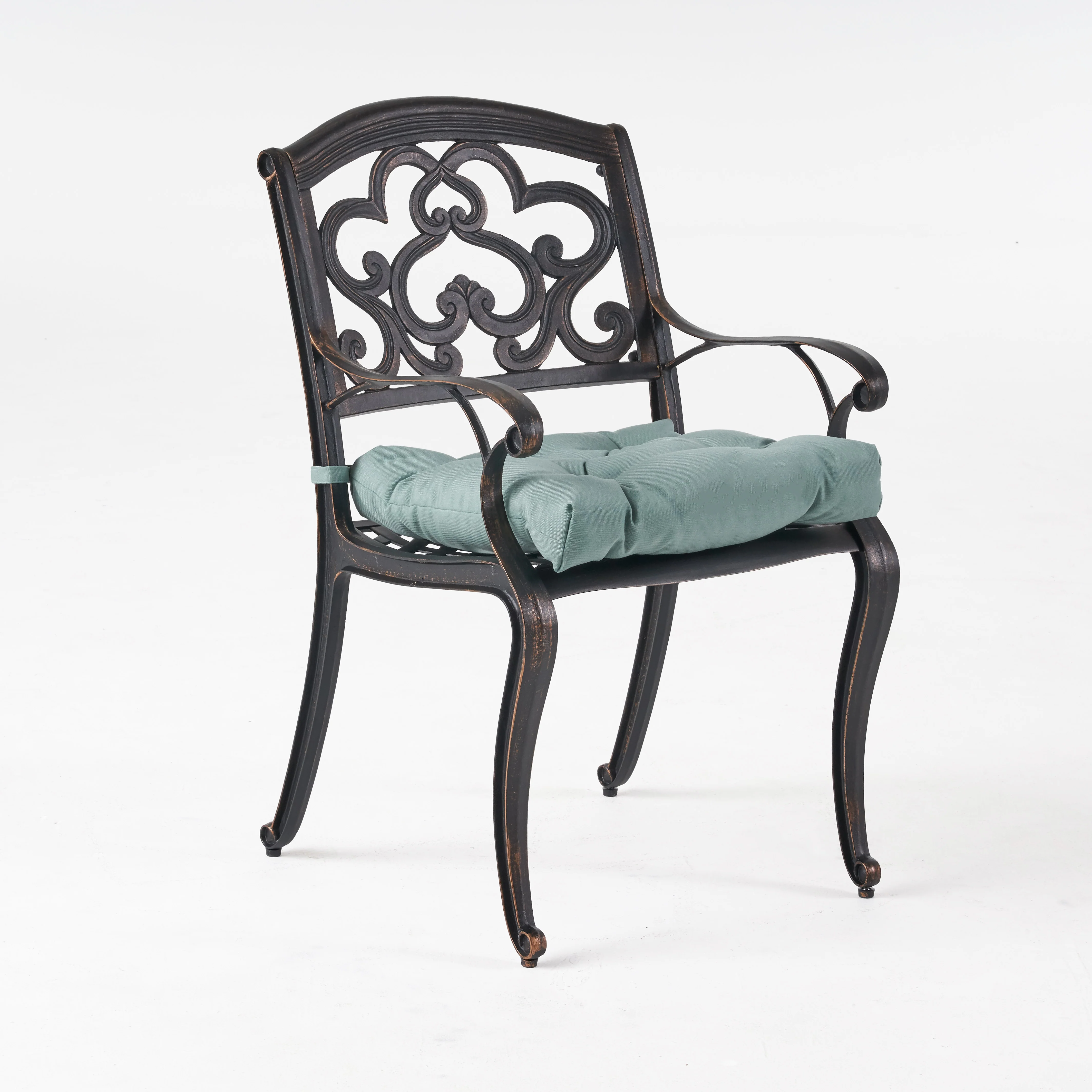 Sher Outdoor Dining Chair with Cushion (Set of 2) - furnishings