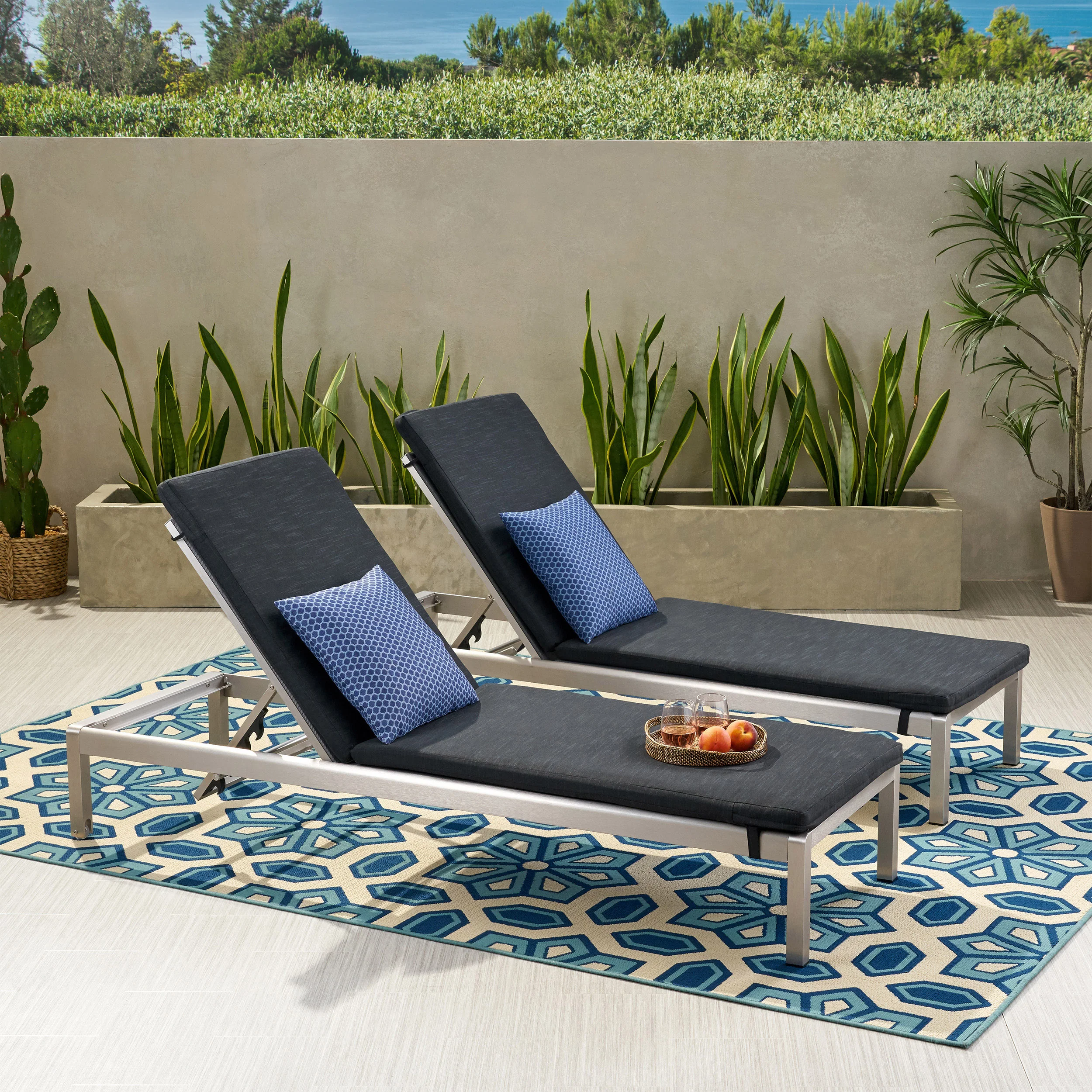 Cherie Modern Outdoor Adjustable Chaise Lounge with Cushion - furnishings