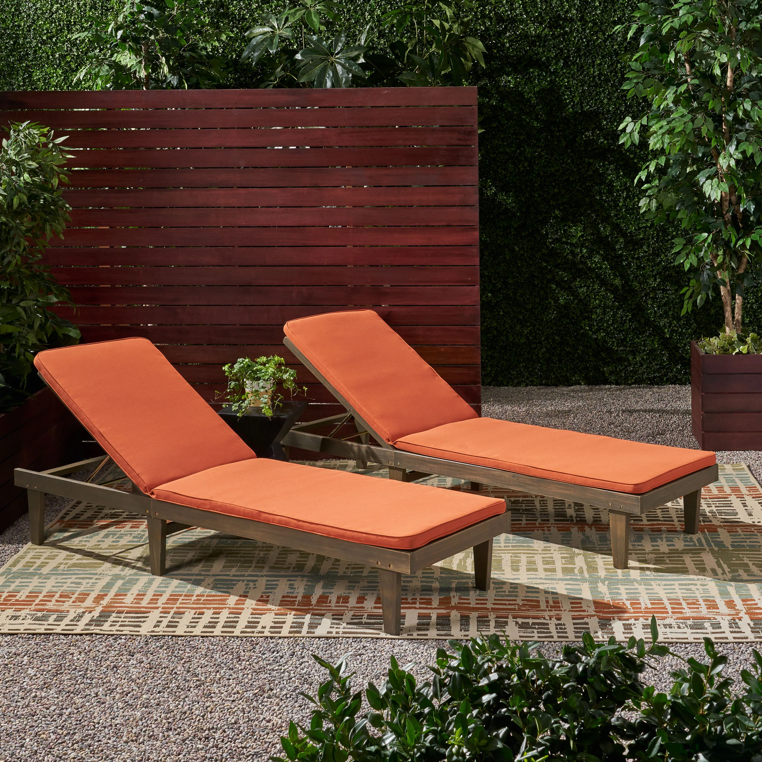 Nadine Outdoor Modern Acacia Wood Chaise Lounge with Cushion (Set of 2) - furnishings