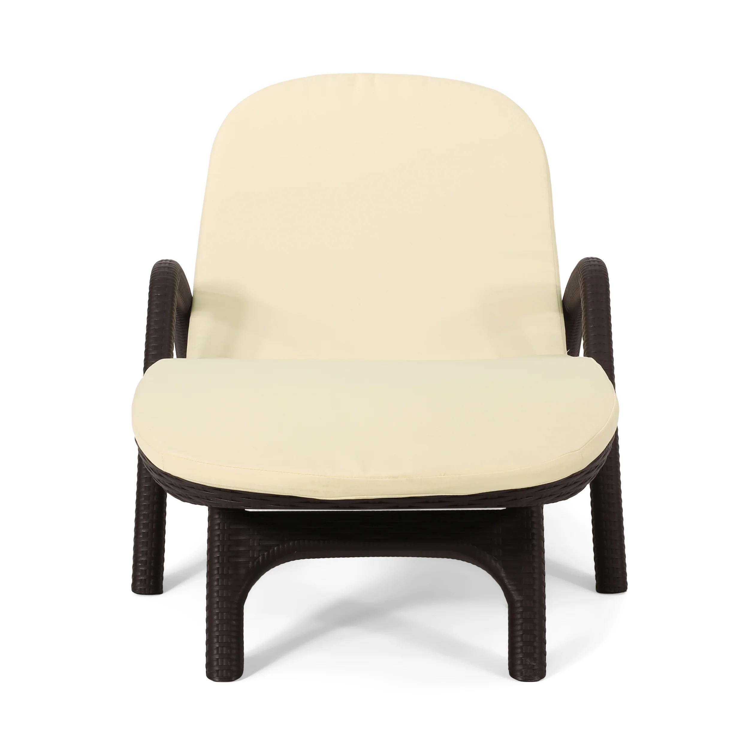 Riley Outdoor Faux Wicker Chaise Lounge with Cushion - furnishings