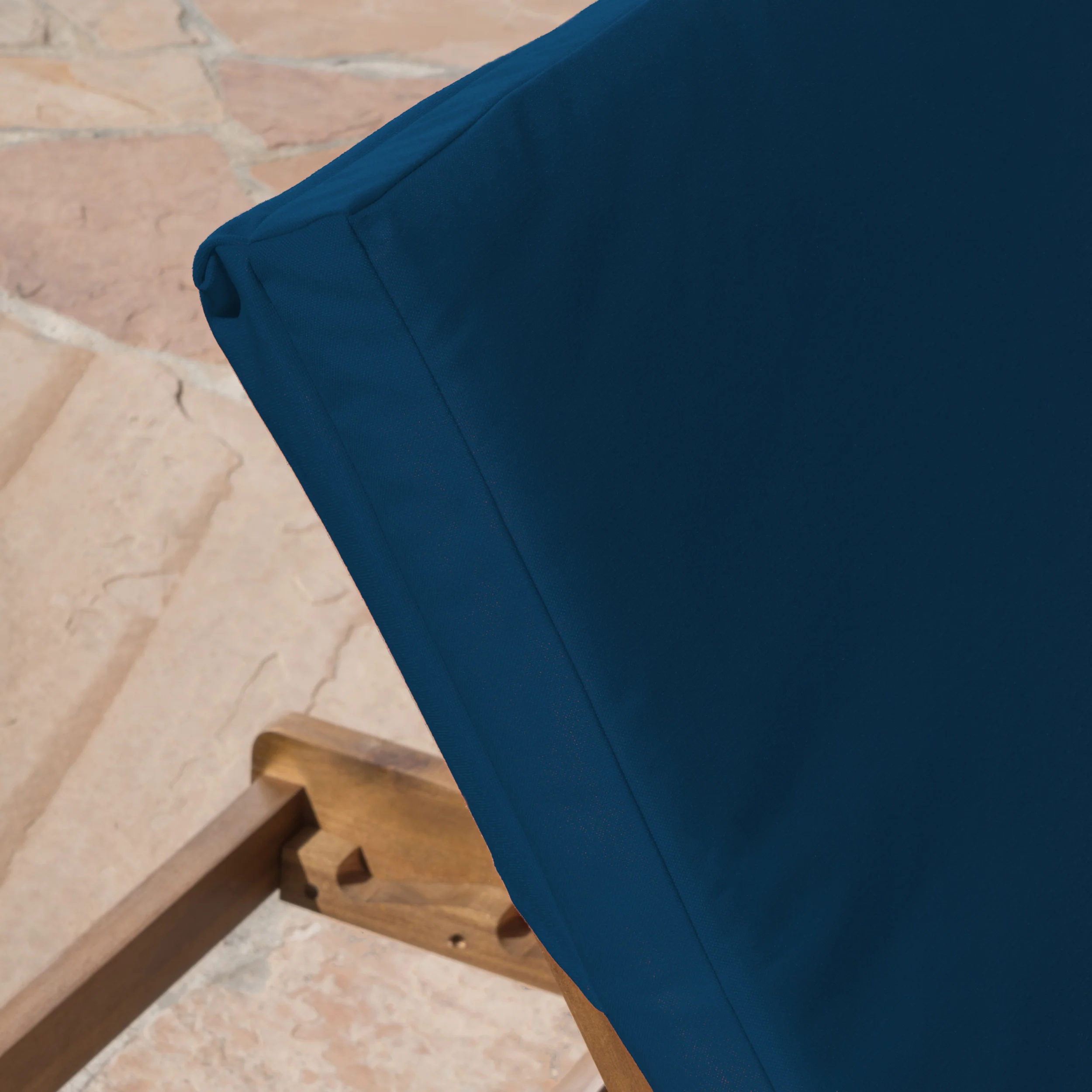Daisy Outdoor Water Resistant Chaise Lounge Cushion (Set of 2) - furnishings