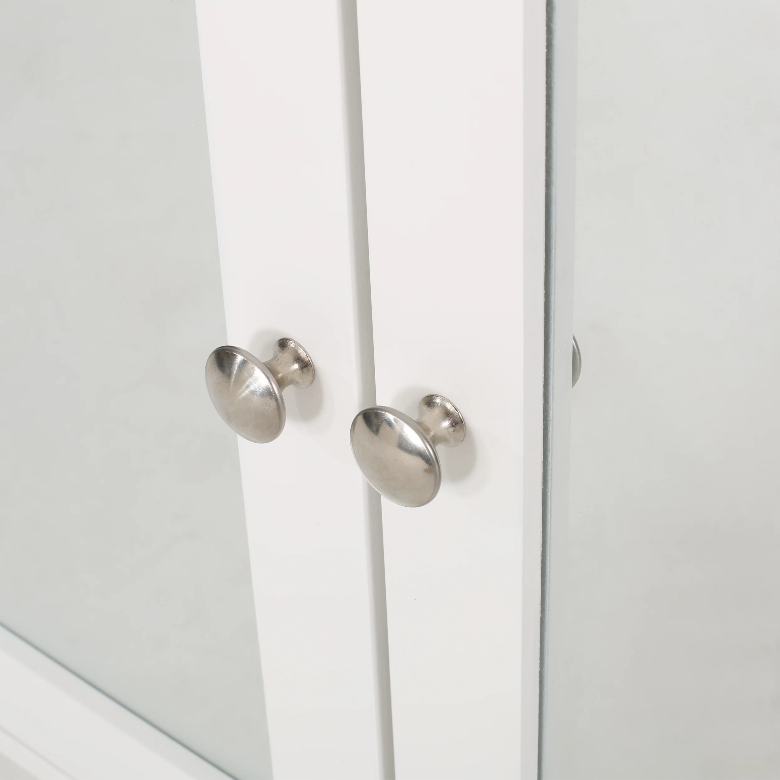 Dillyn Contemporary 2 Door Mirror Medicine Cabinet - furnishings
