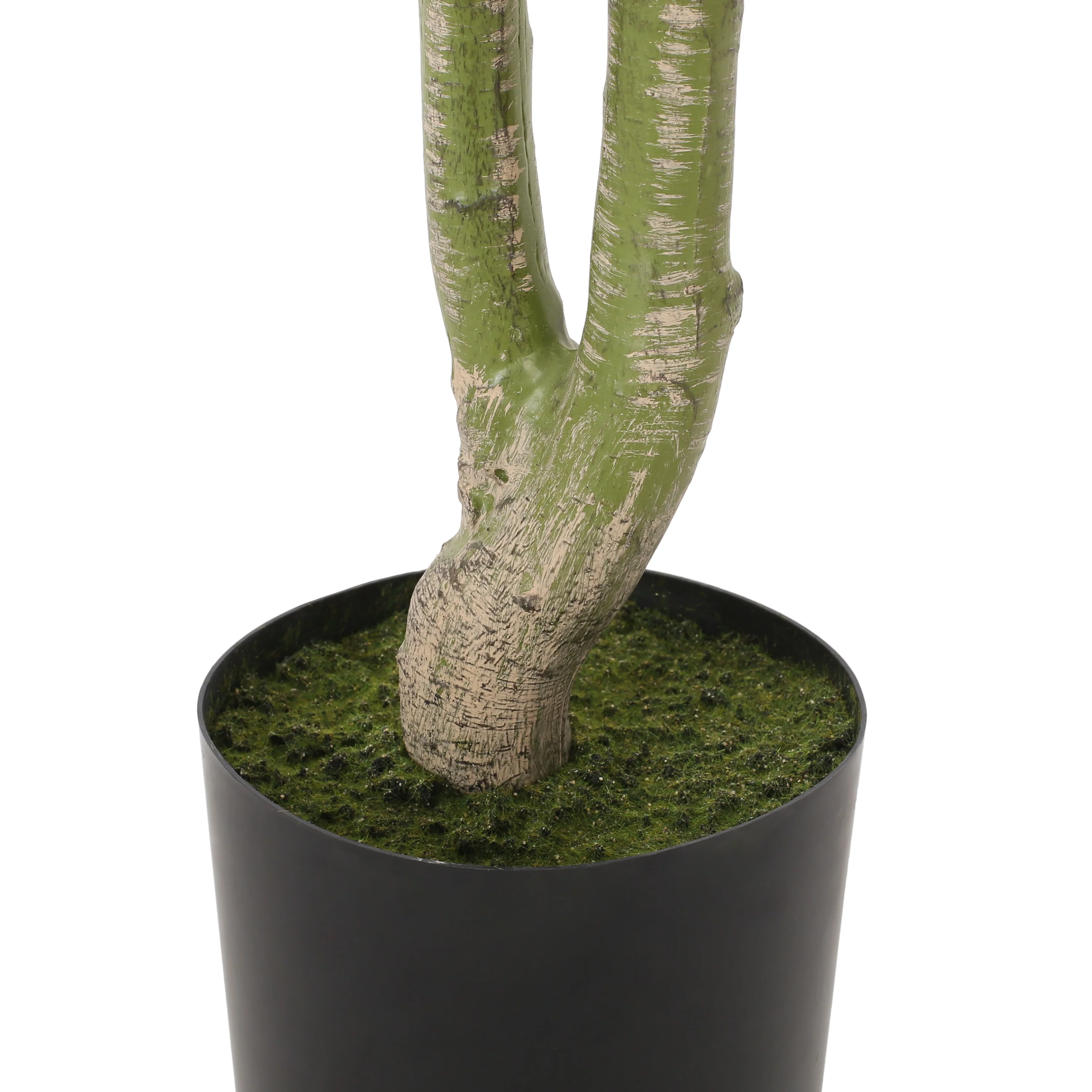 Coles Artificial Money Tree - furnishings
