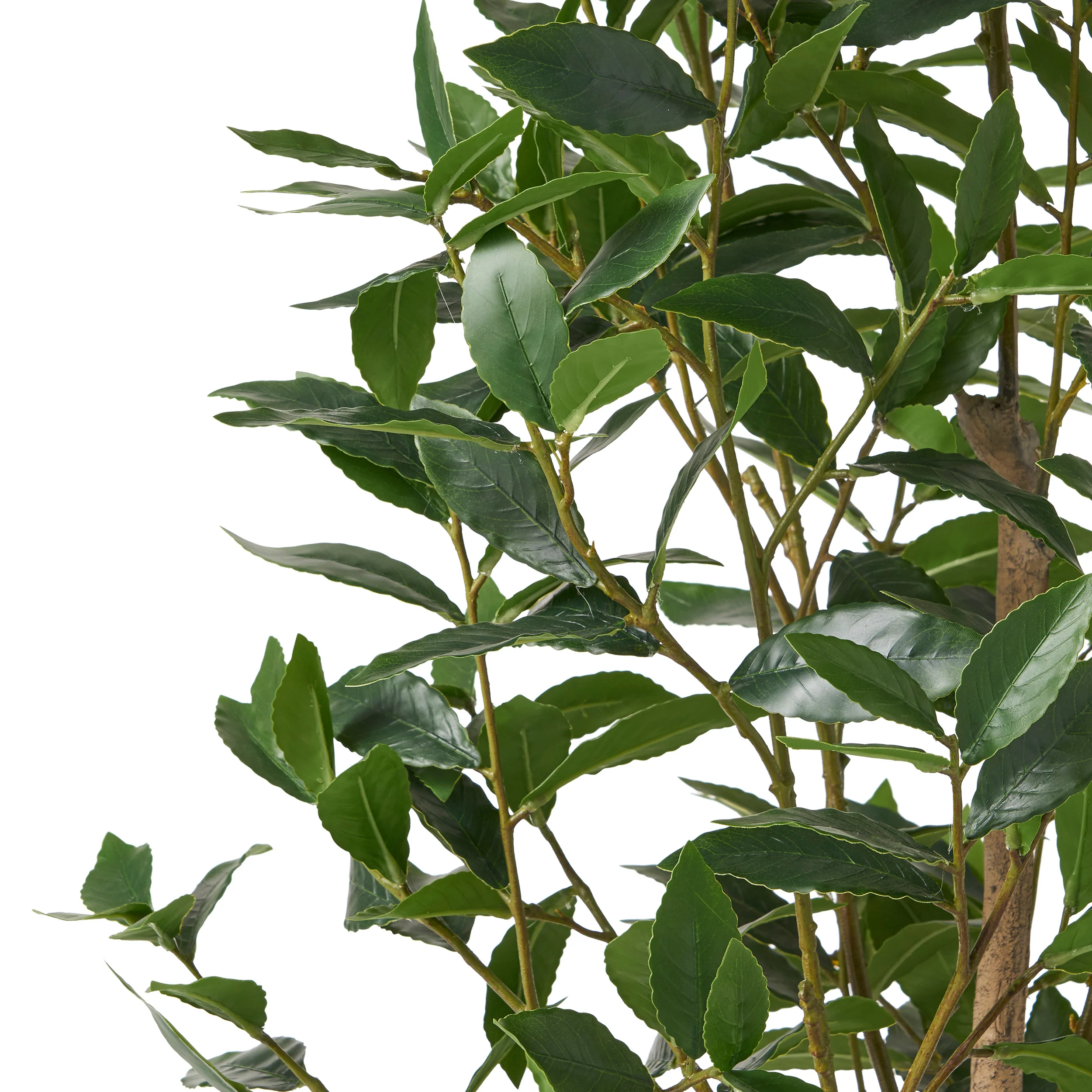 Forgan Artificial Laurel Tree - furnishings