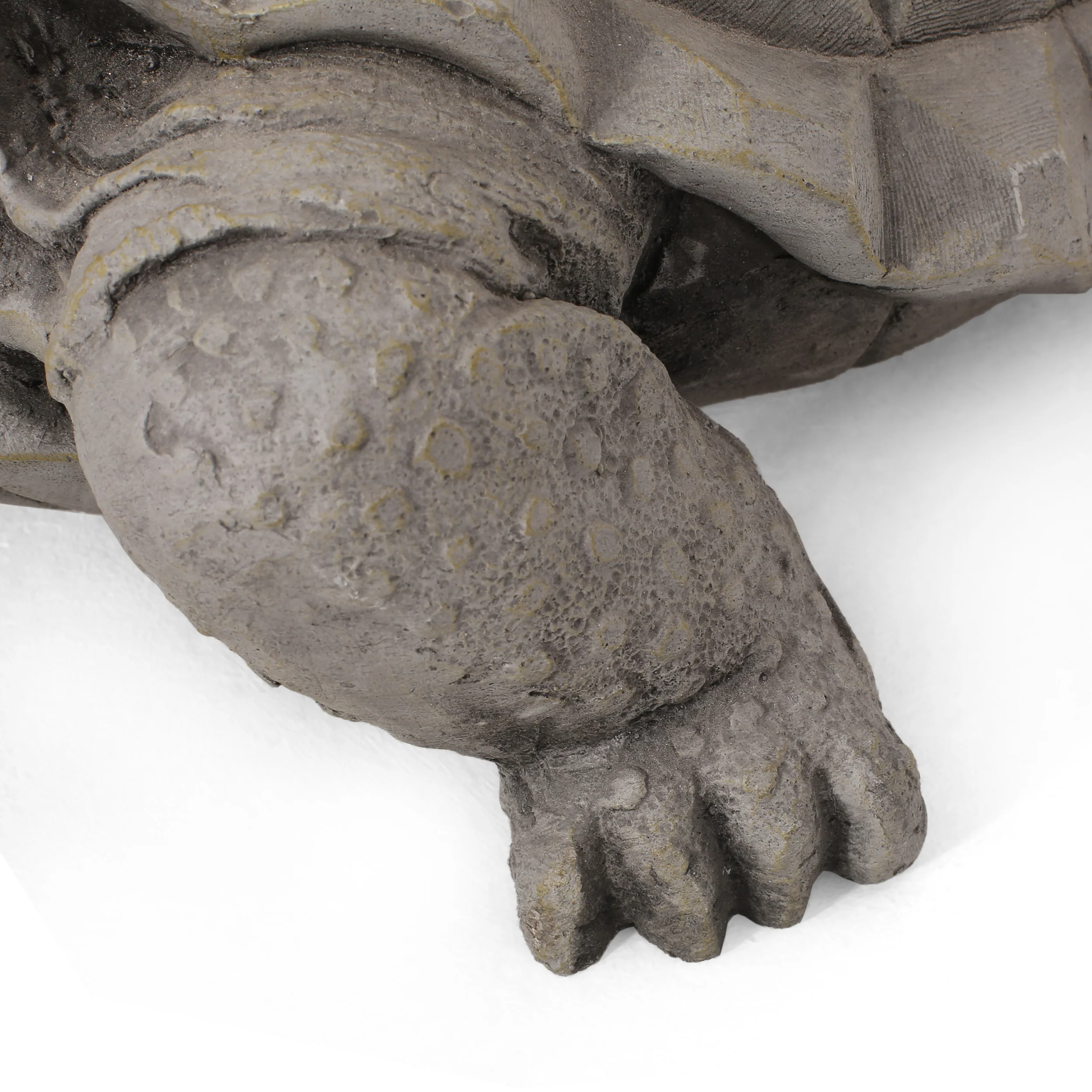 Delphos Outdoor Turtle Garden Statue, Dark Gray - furnishings