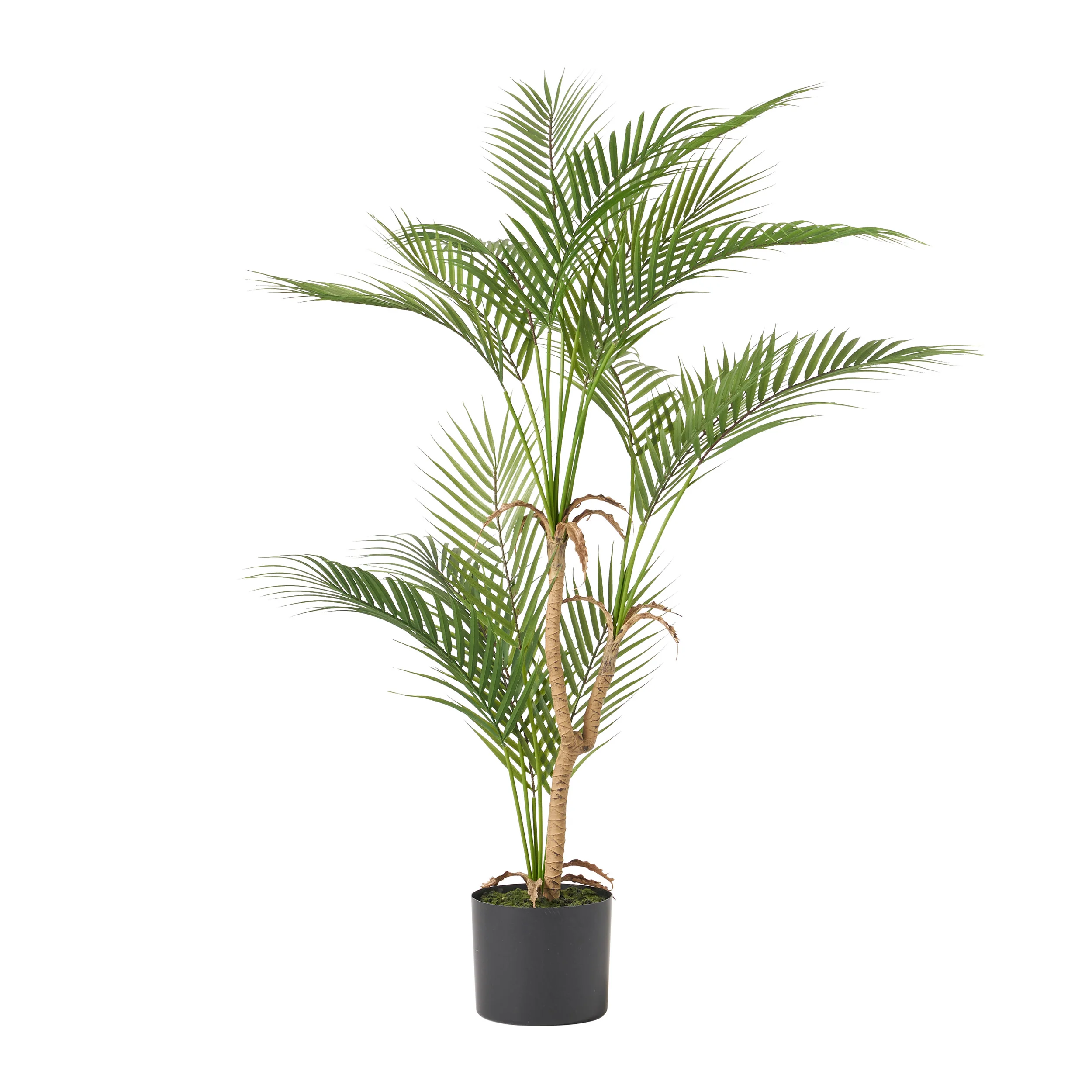 Abbeville Troup Artificial Palm Tree - furnishings