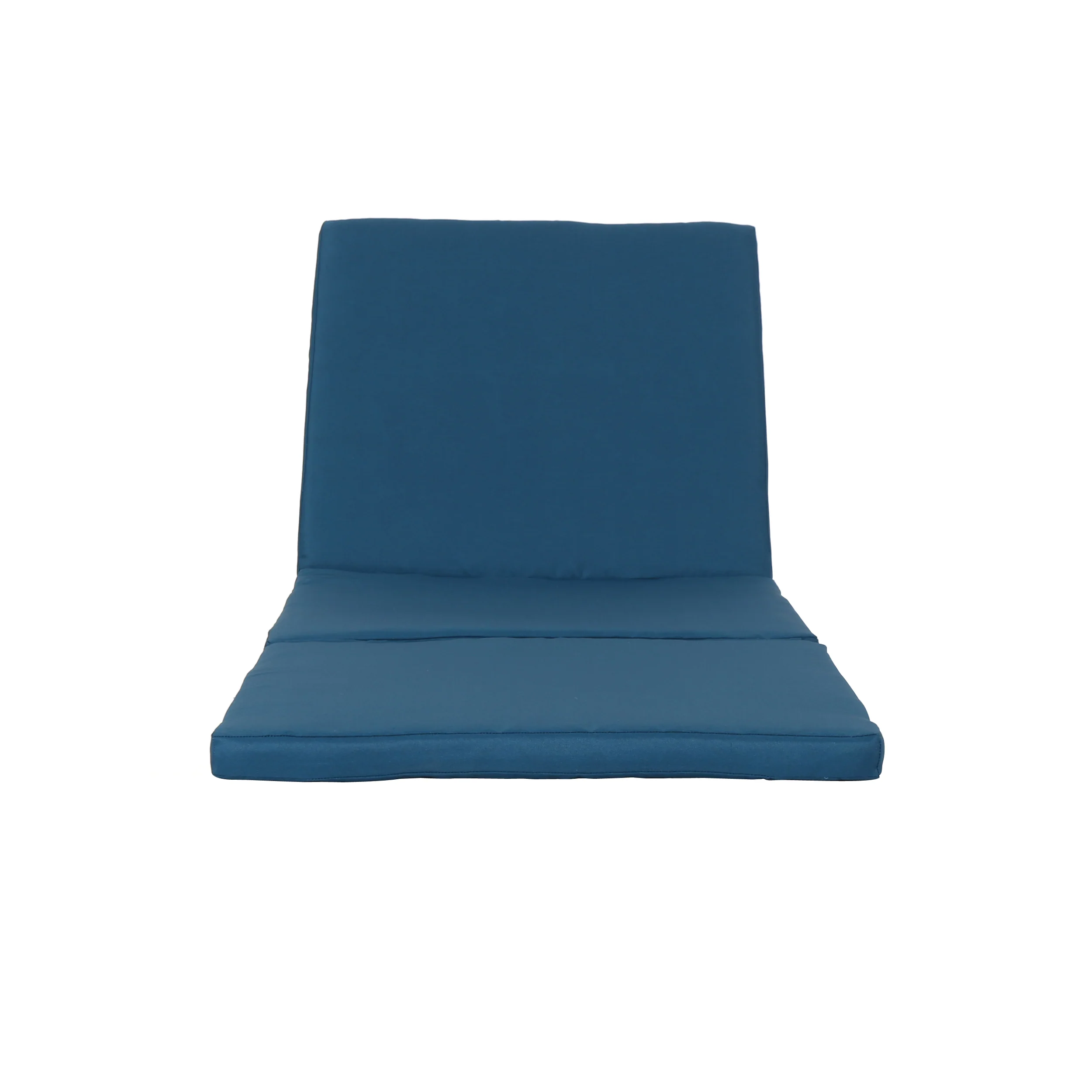 Laraine Outdoor Water Resistant Chaise Lounge Cushion - furnishings