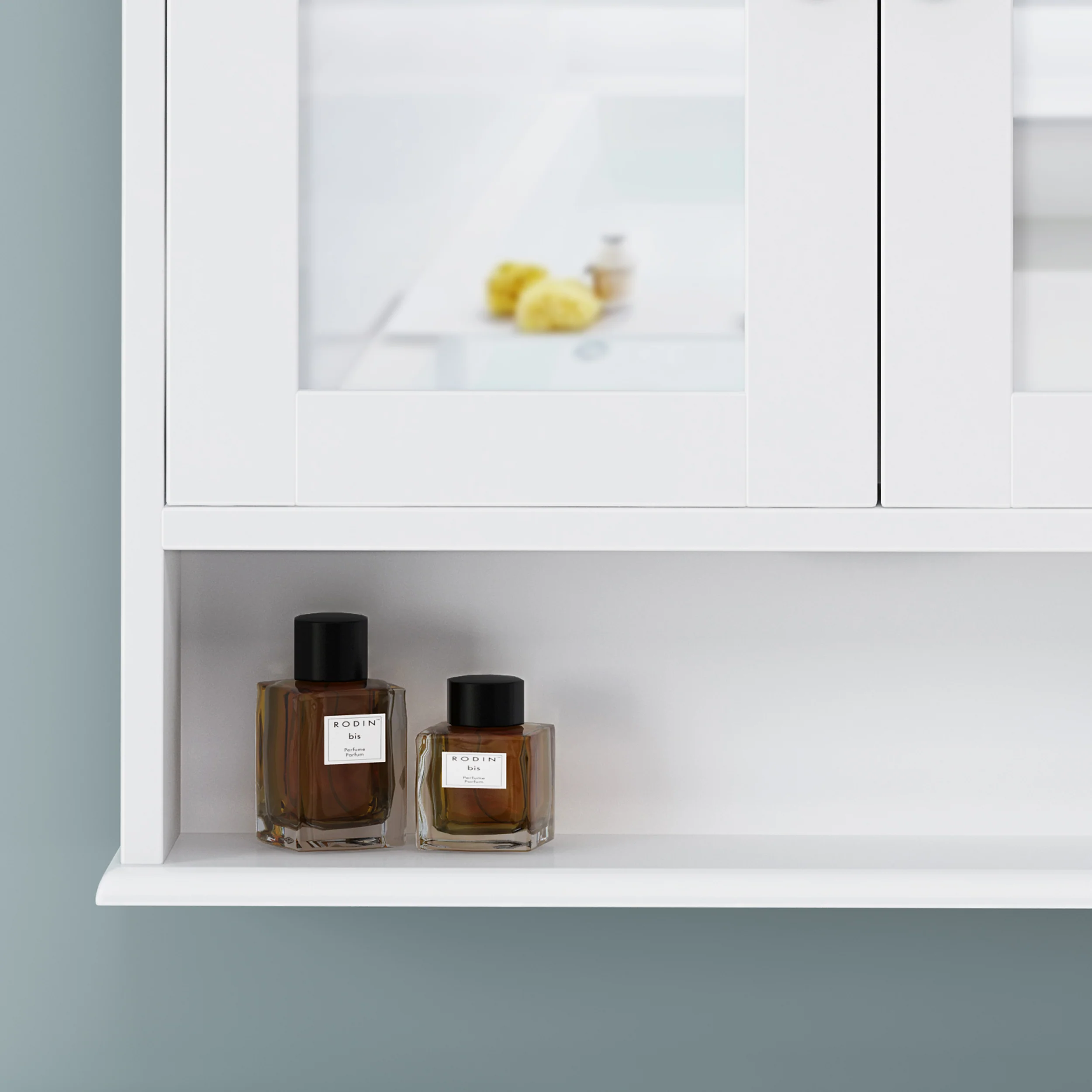Dillyn Contemporary 2 Door Mirror Medicine Cabinet - furnishings