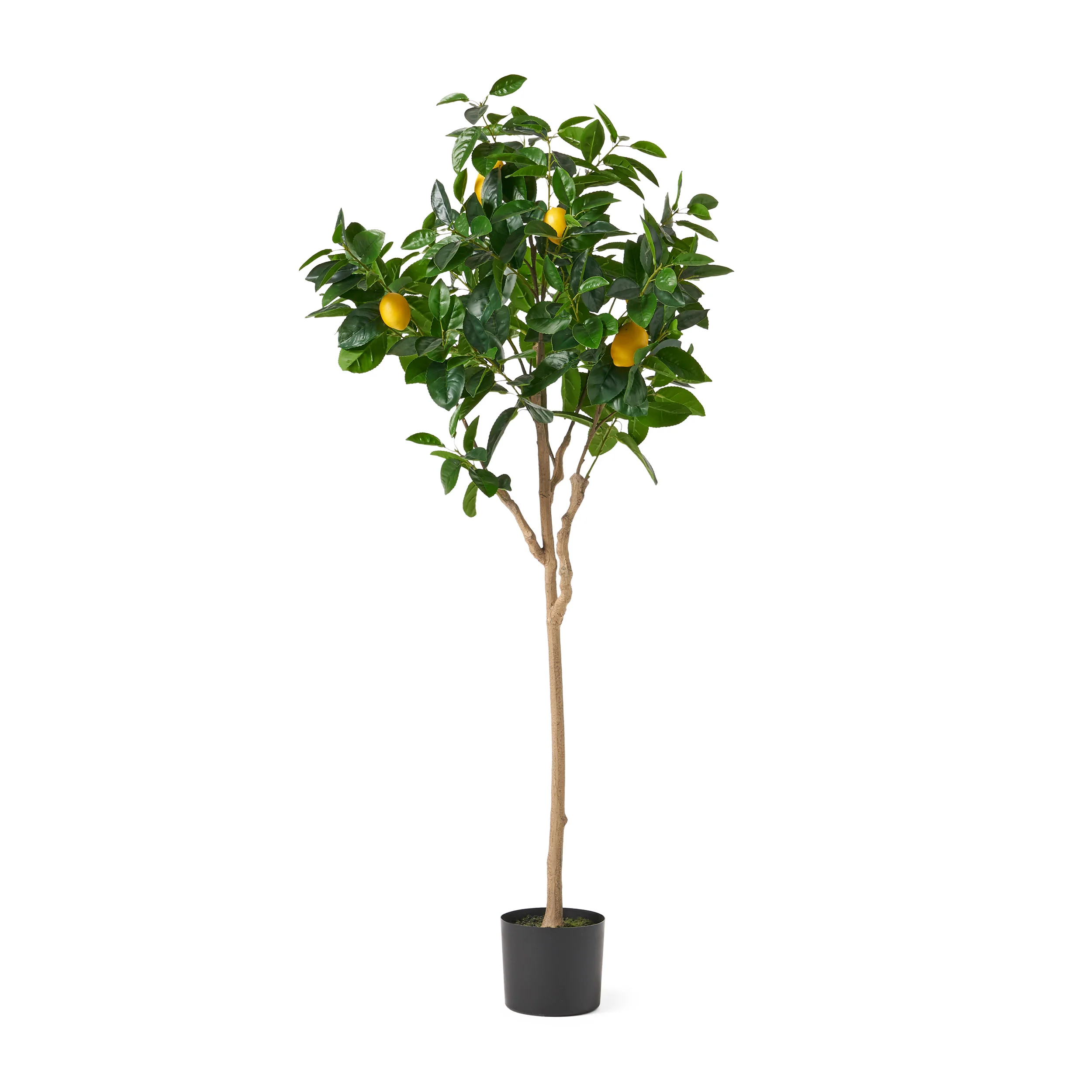 Rattler Artificial Lemon Tree - furnishings