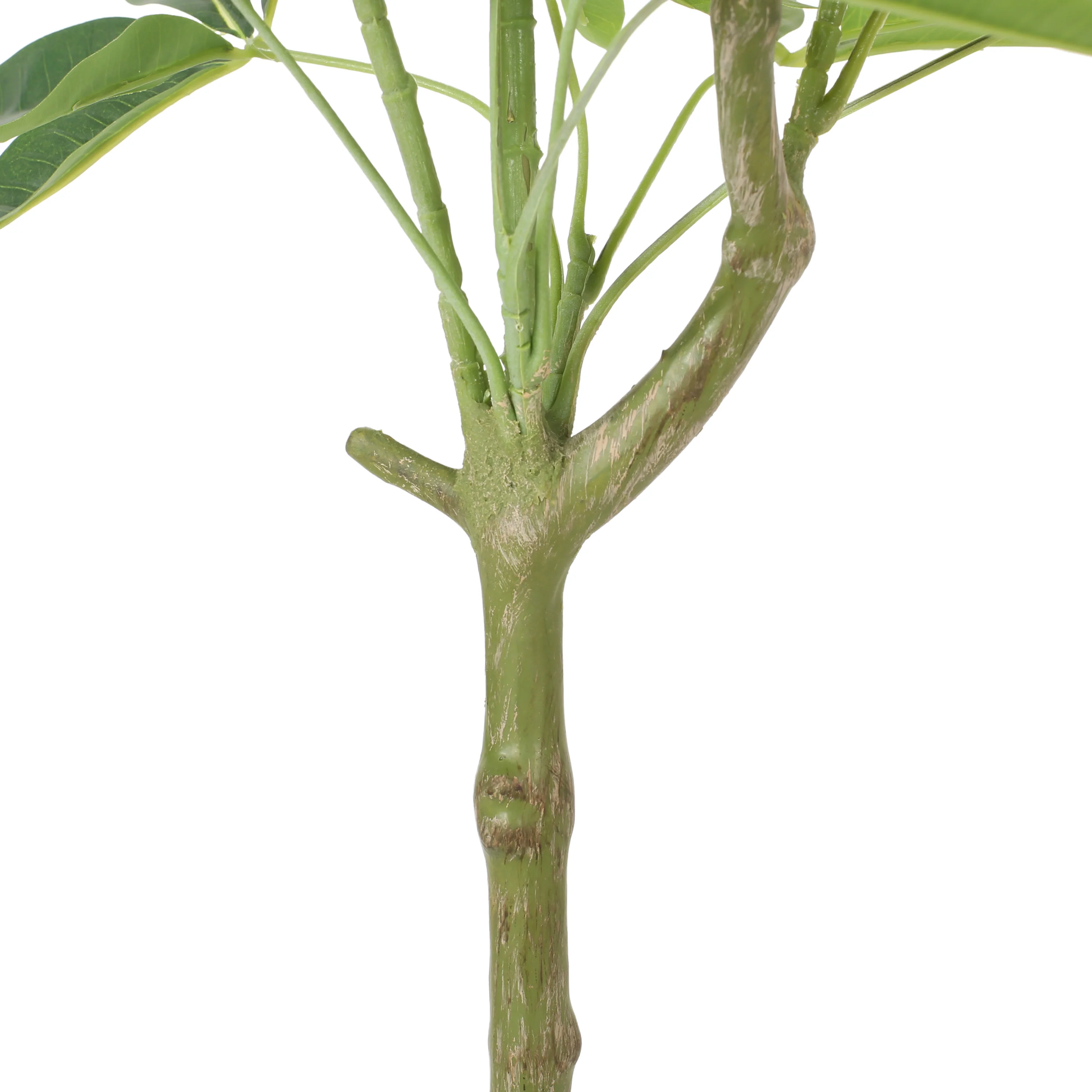 Coles Artificial Money Tree - furnishings