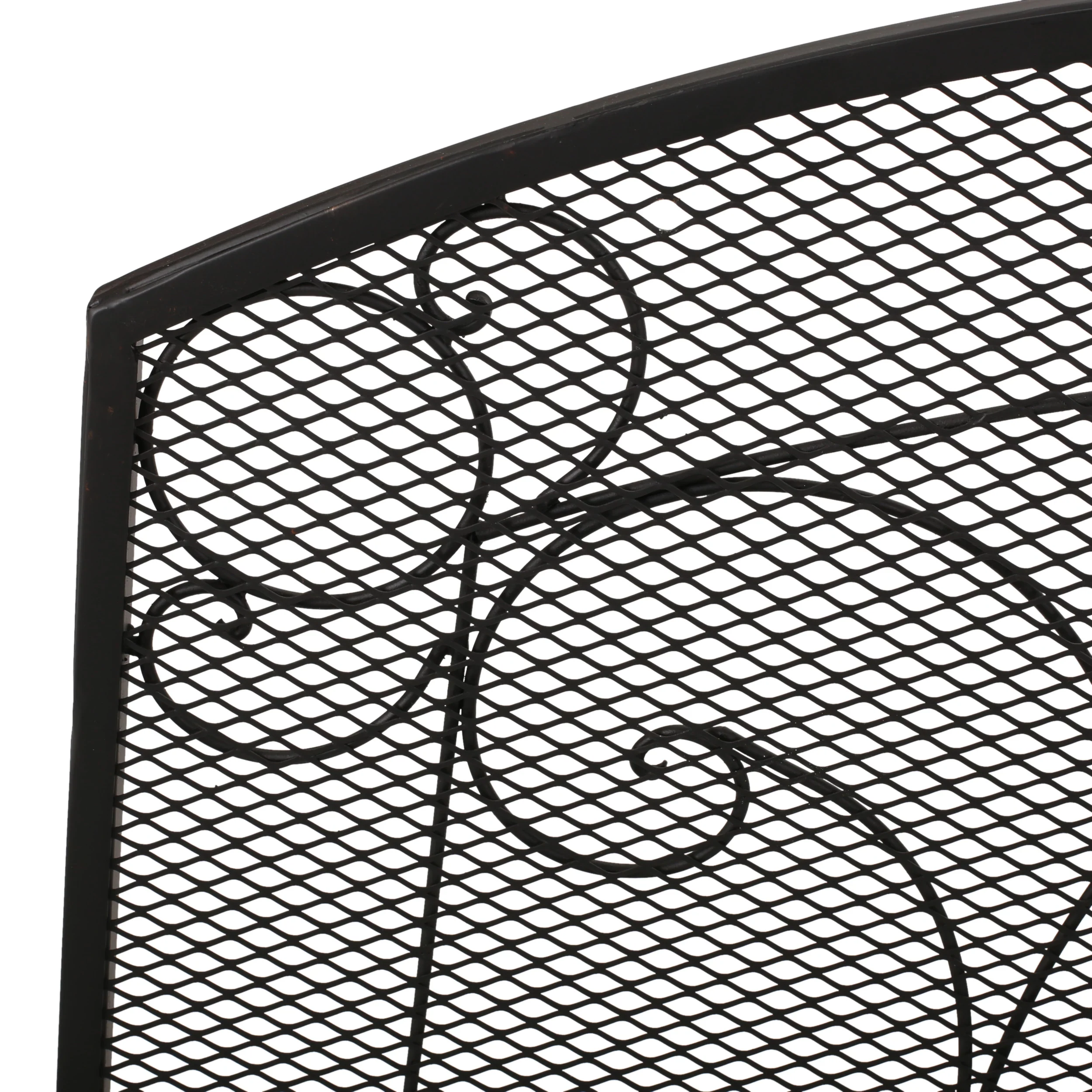 Griffin Contemporary Iron Fireplace Screen - furnishings