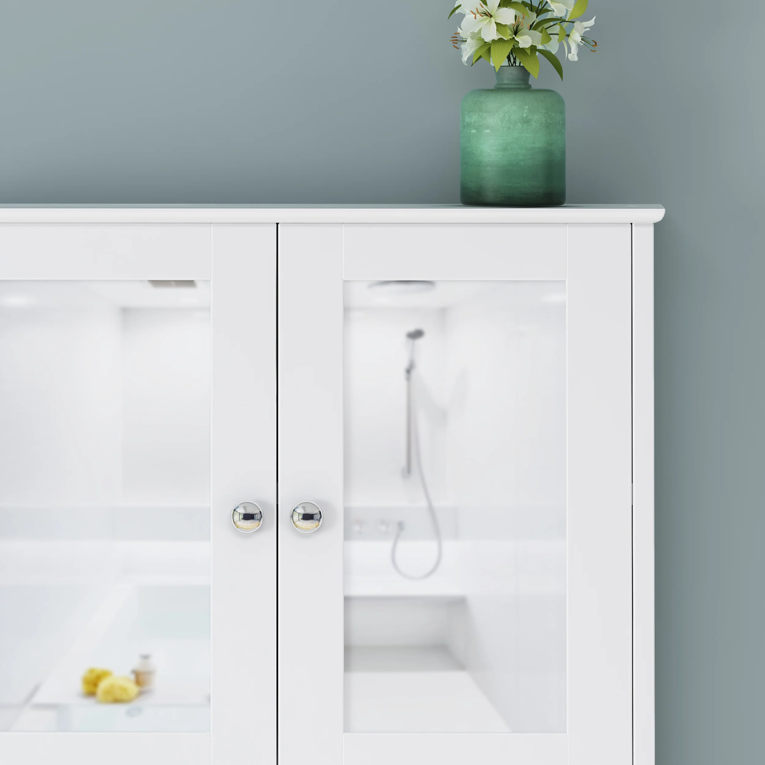 Dillyn Contemporary 2 Door Mirror Medicine Cabinet - furnishings