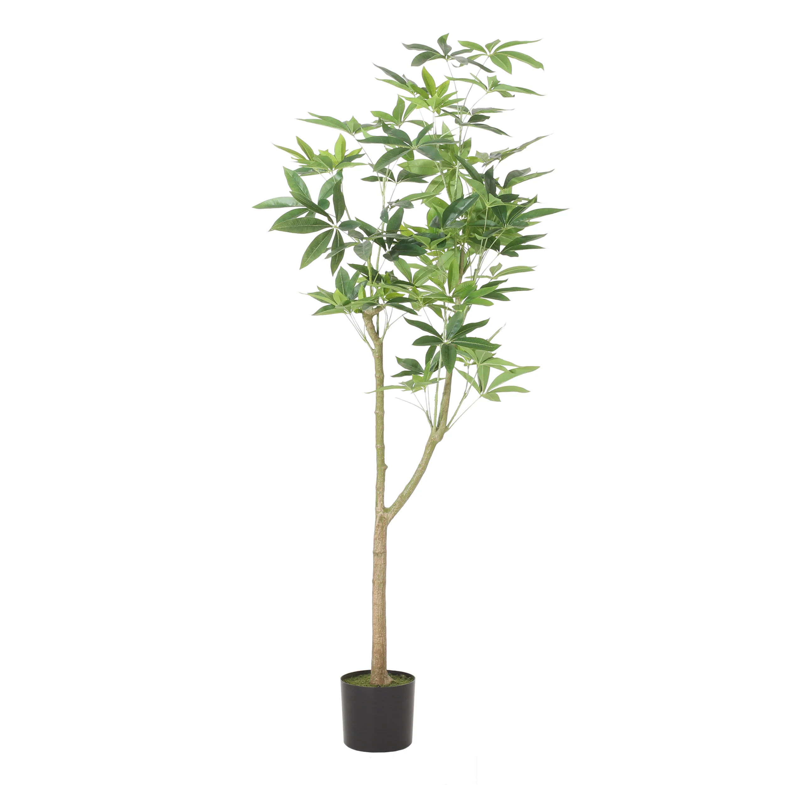 Coles Artificial Money Tree - furnishings