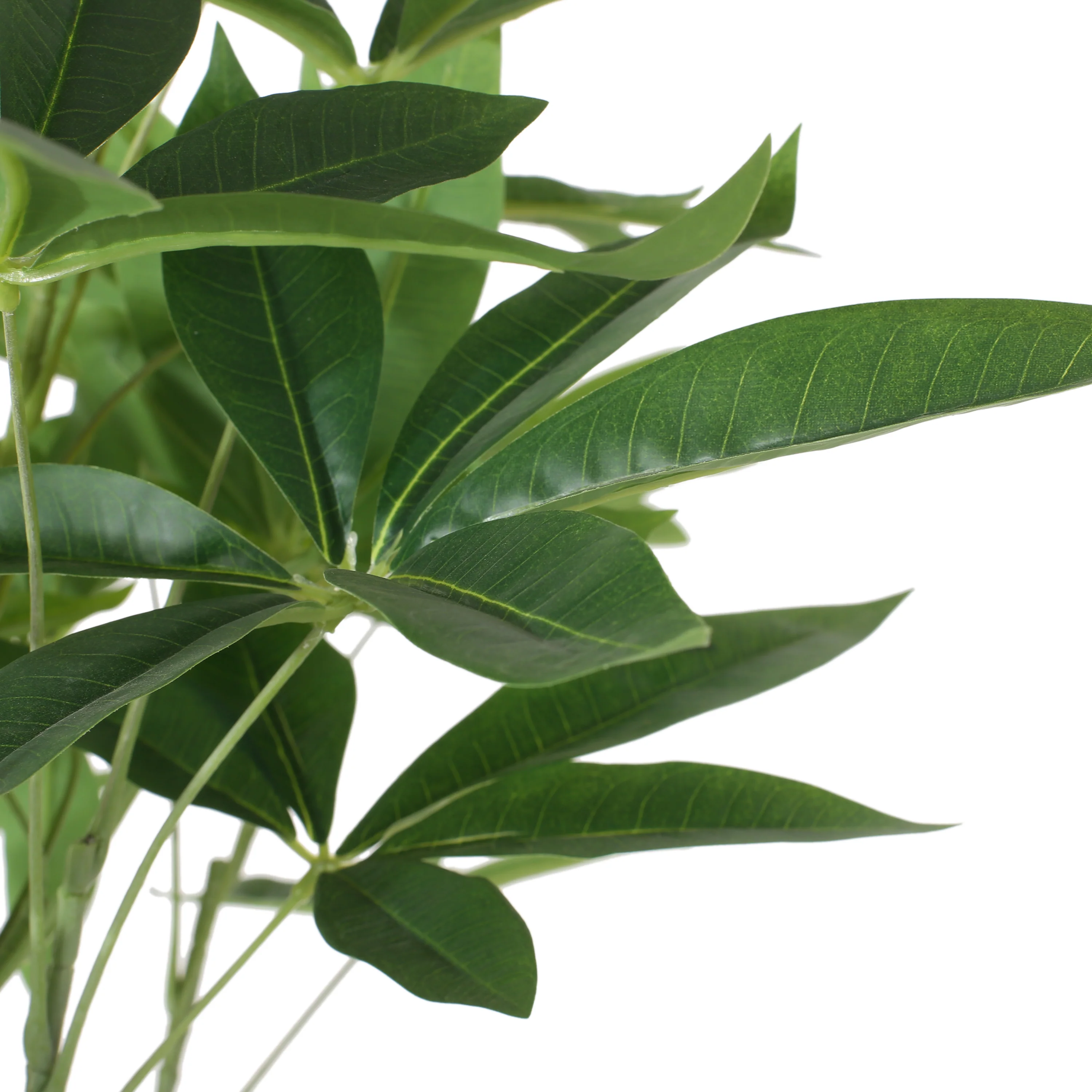 Coles Artificial Money Tree - furnishings
