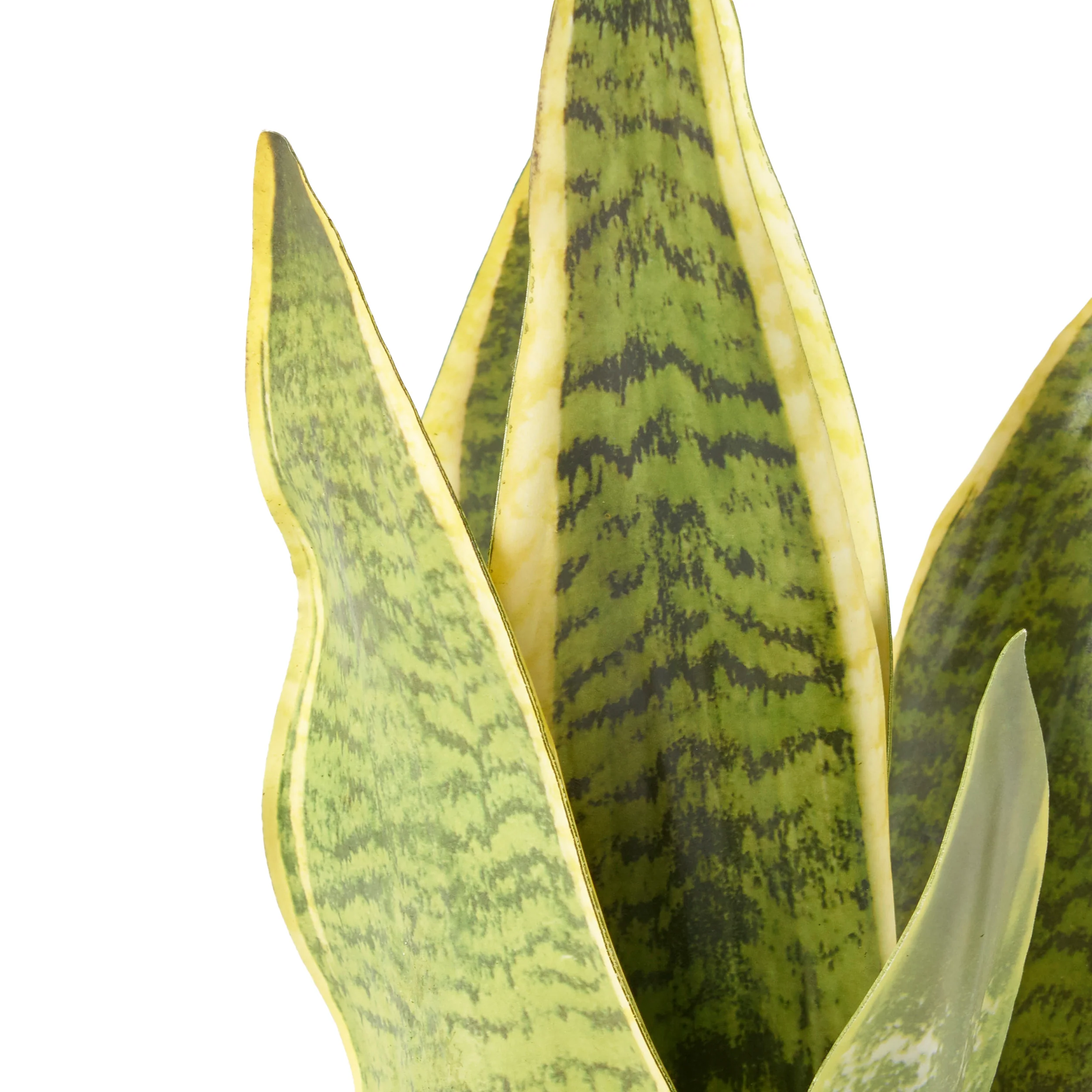 McClure Artificial Tabletop Snake Plant - furnishings